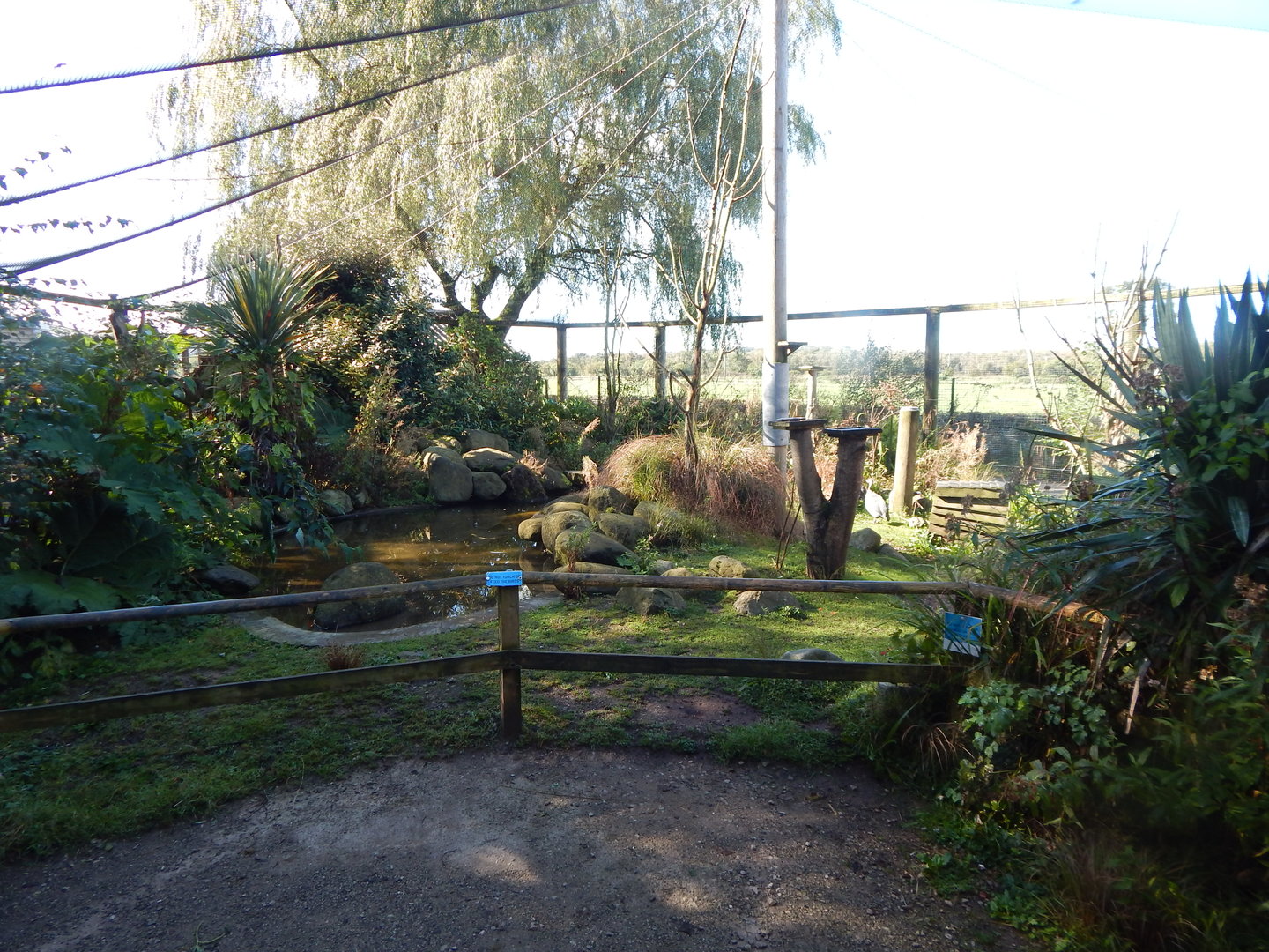 African Walkthrough Aviary 230922