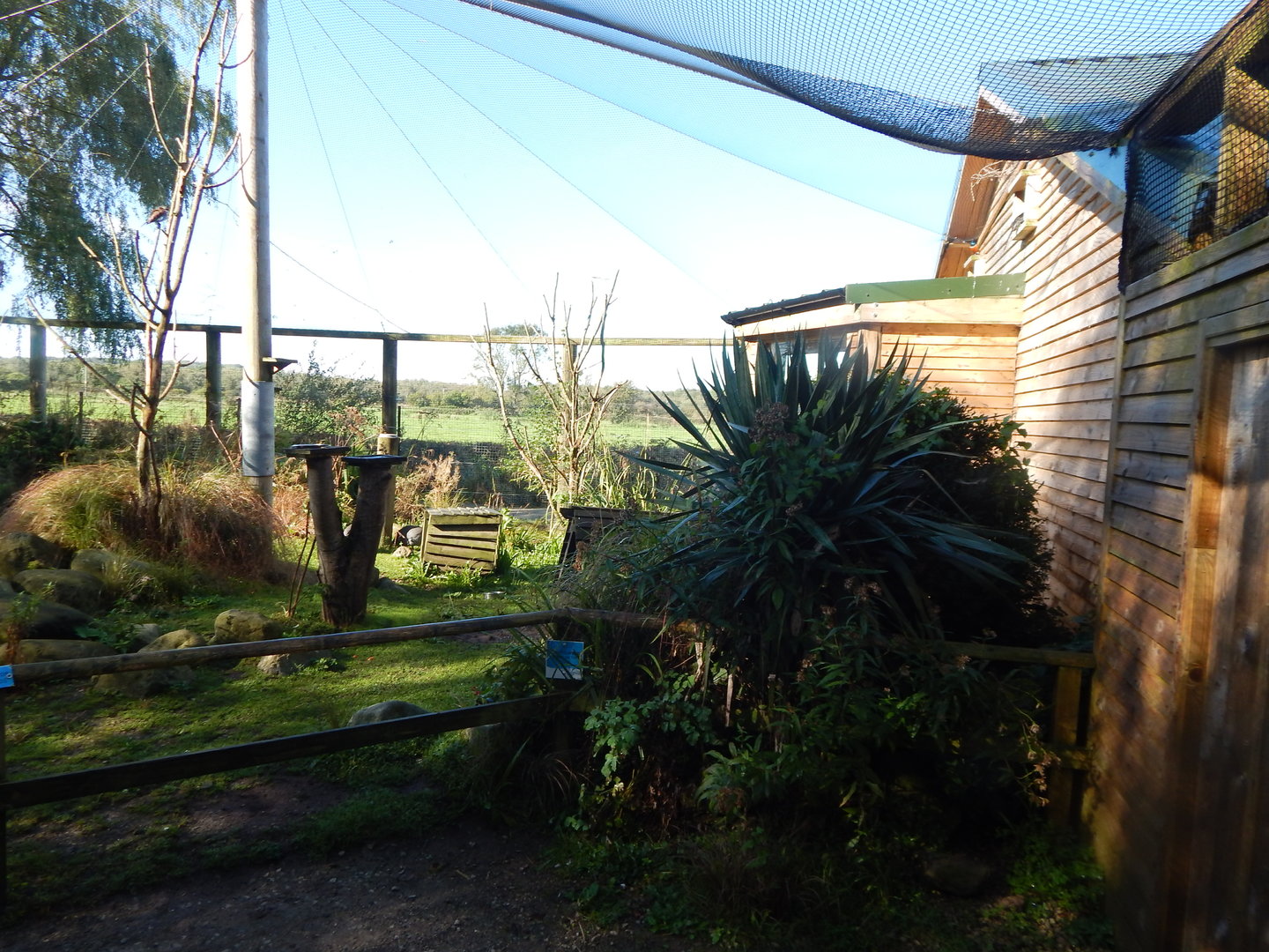 African Walkthrough Aviary 230922