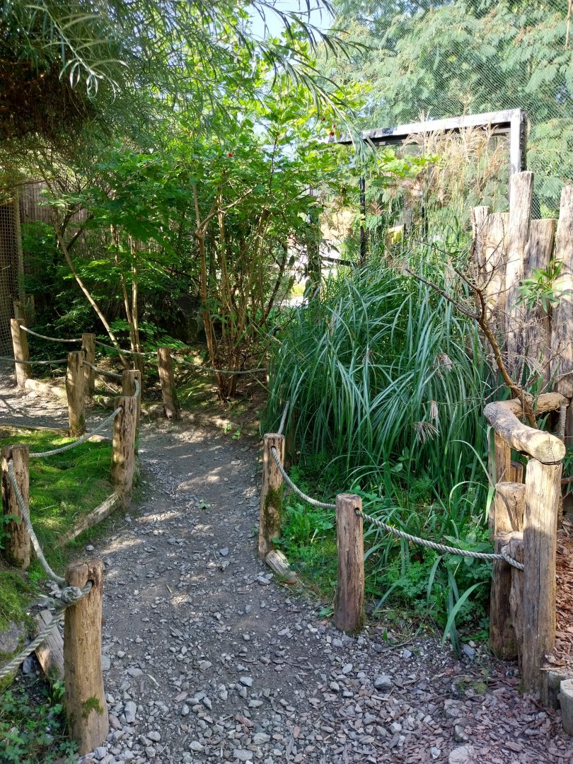 African walkthrough aviary - Songbird aviary