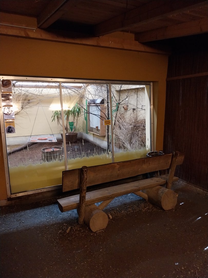 African walkthrough aviary - Winterroom