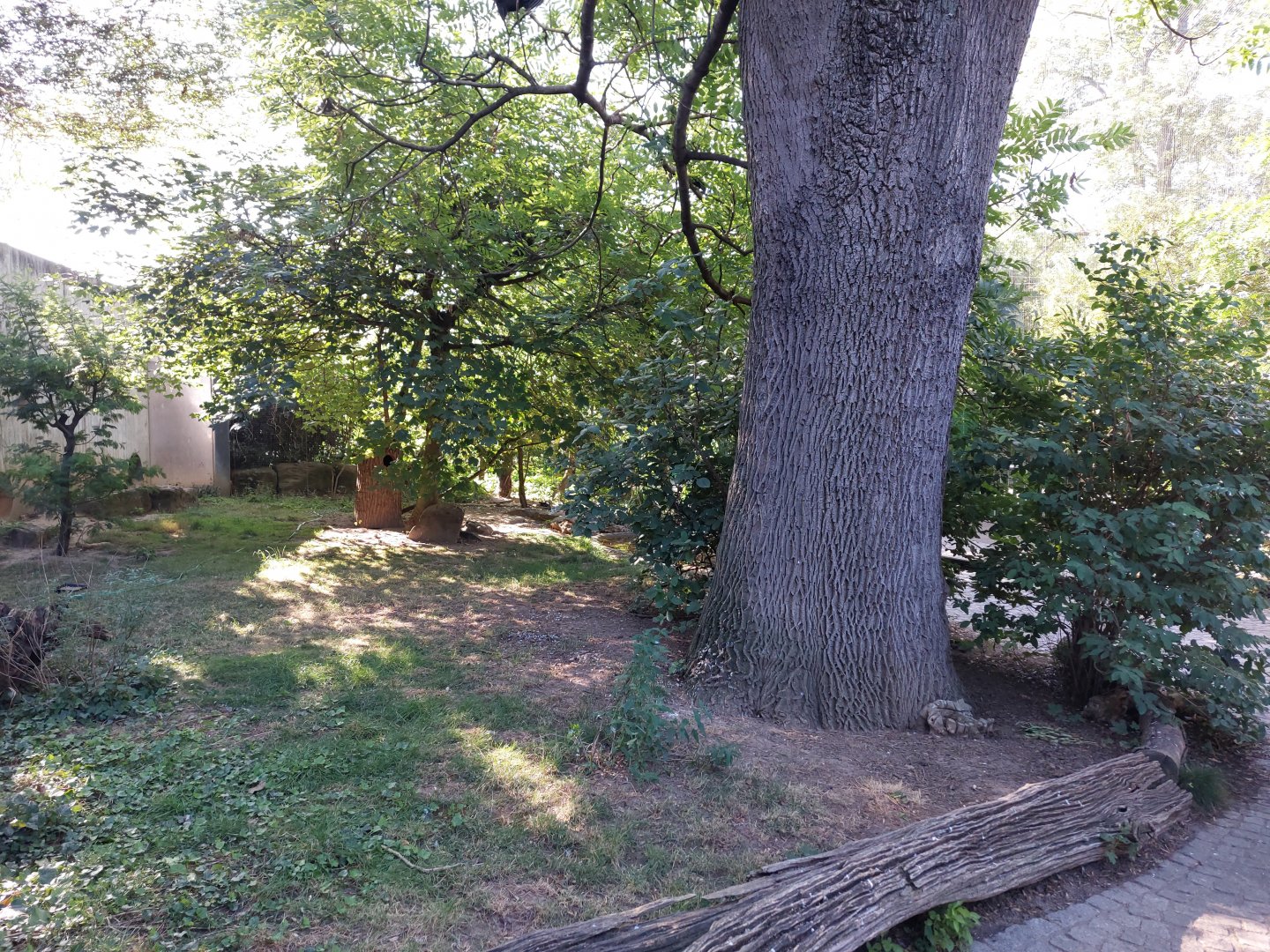 African walkthrough aviary