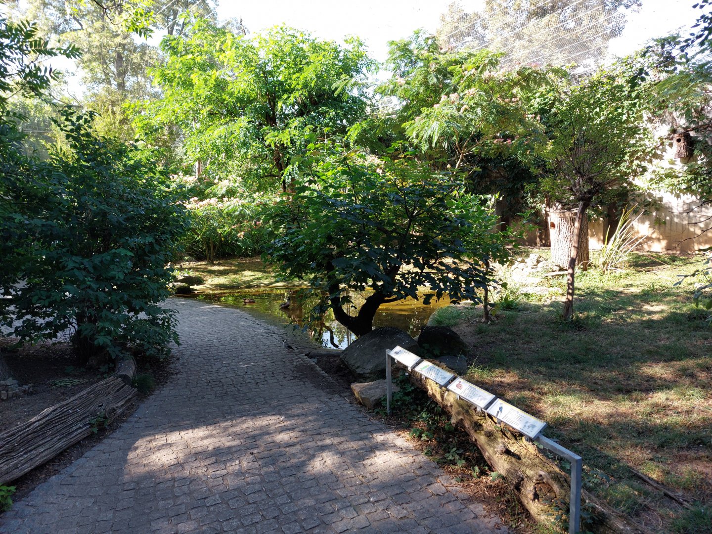 African walkthrough aviary