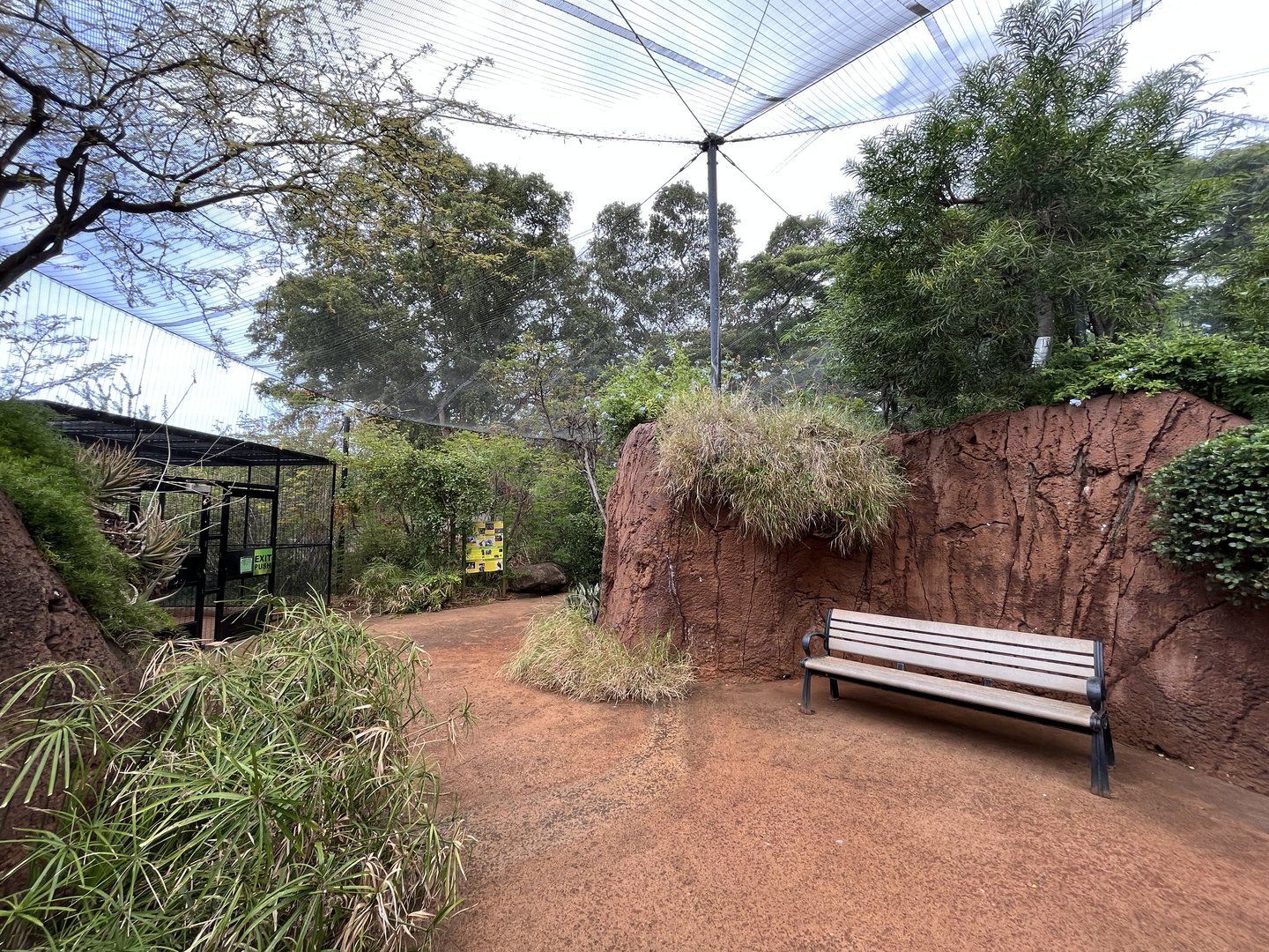 African Walkthrough Aviary