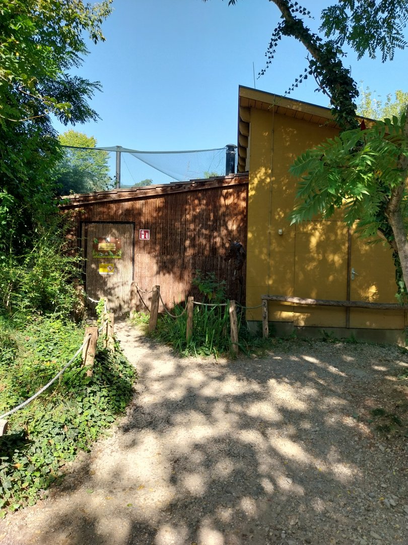 African walkthrough aviary