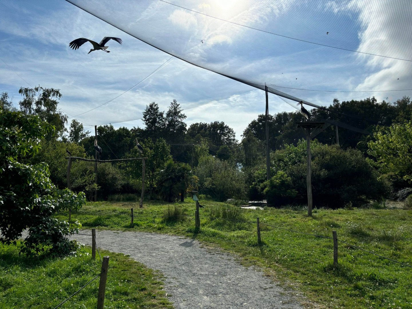 African walkthrough aviary