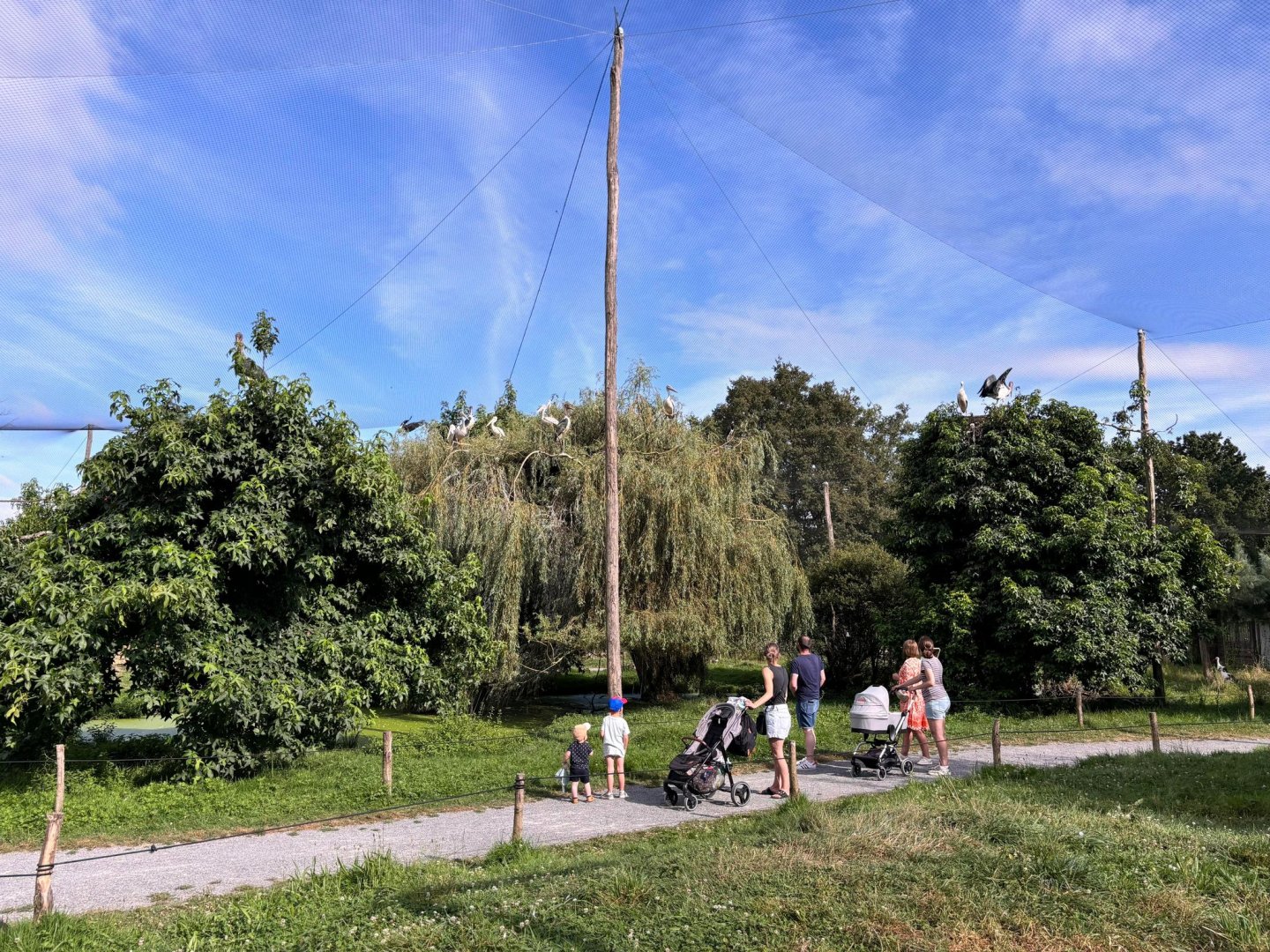African walkthrough aviary