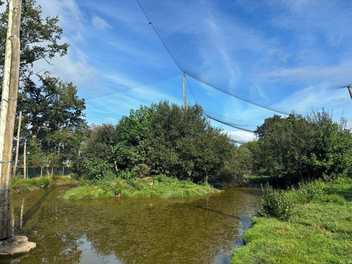 African walkthrough aviary