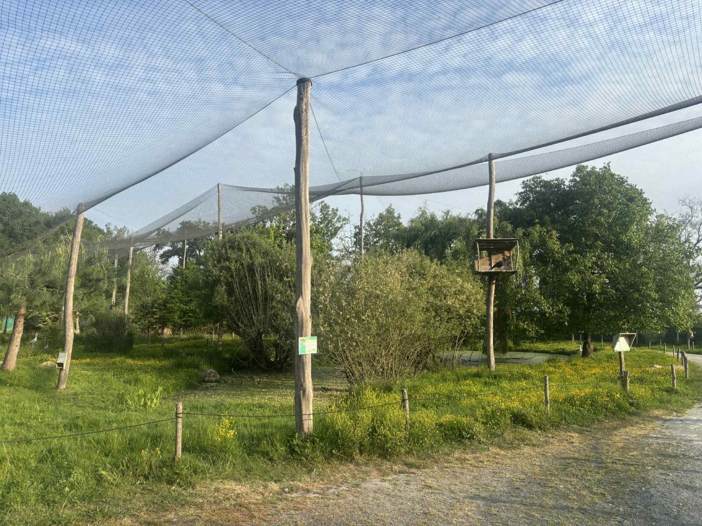 African walkthrough aviary