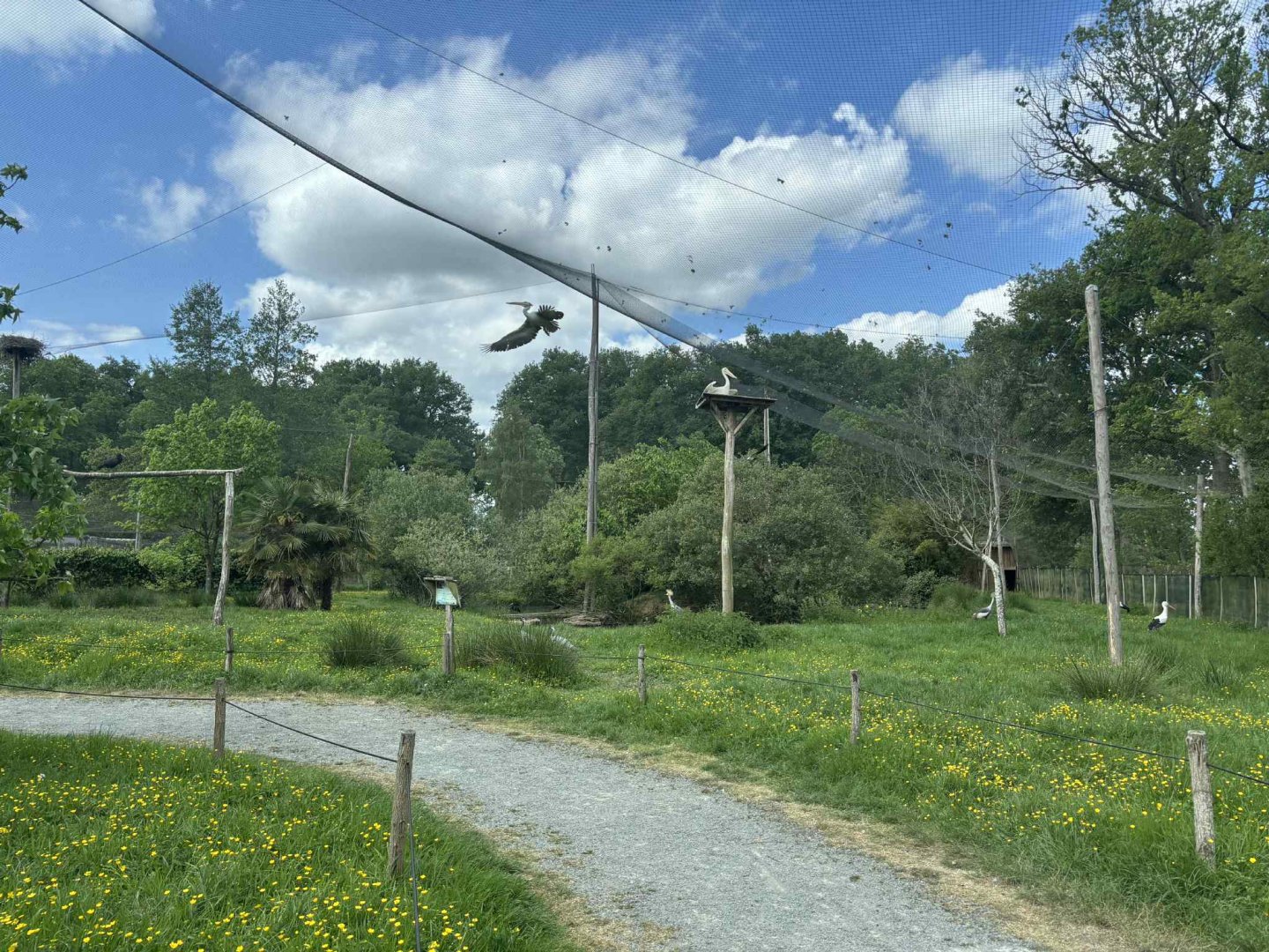 African walkthrough aviary