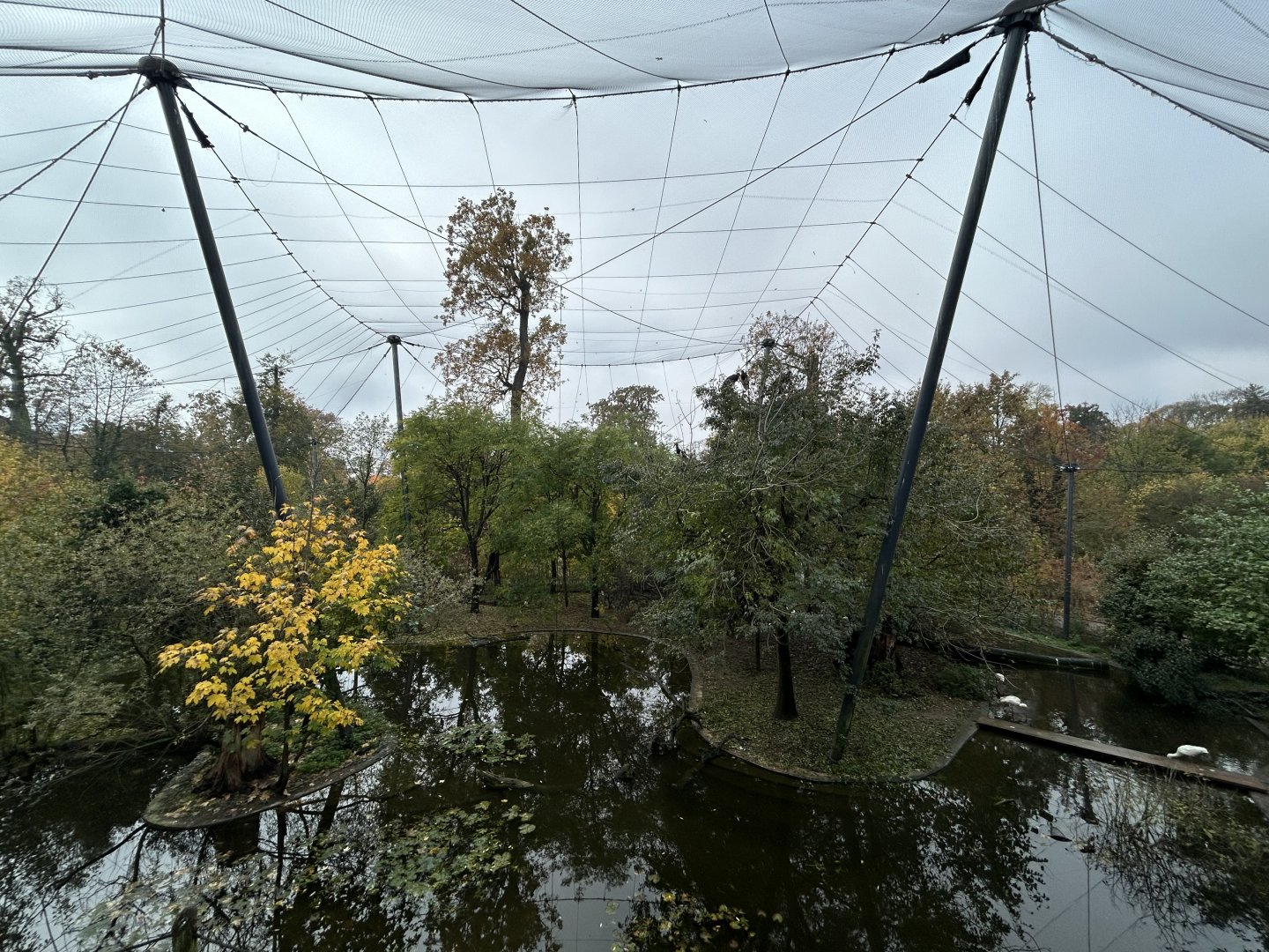 African Water Bird Aviary