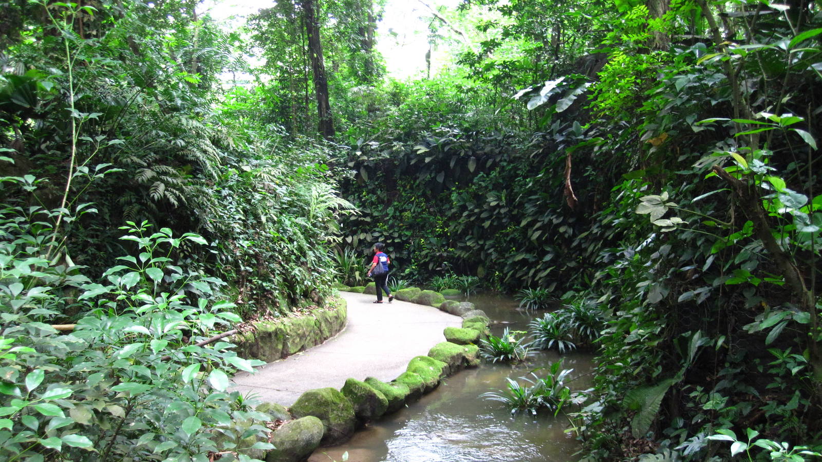 African Waterfall Aviary