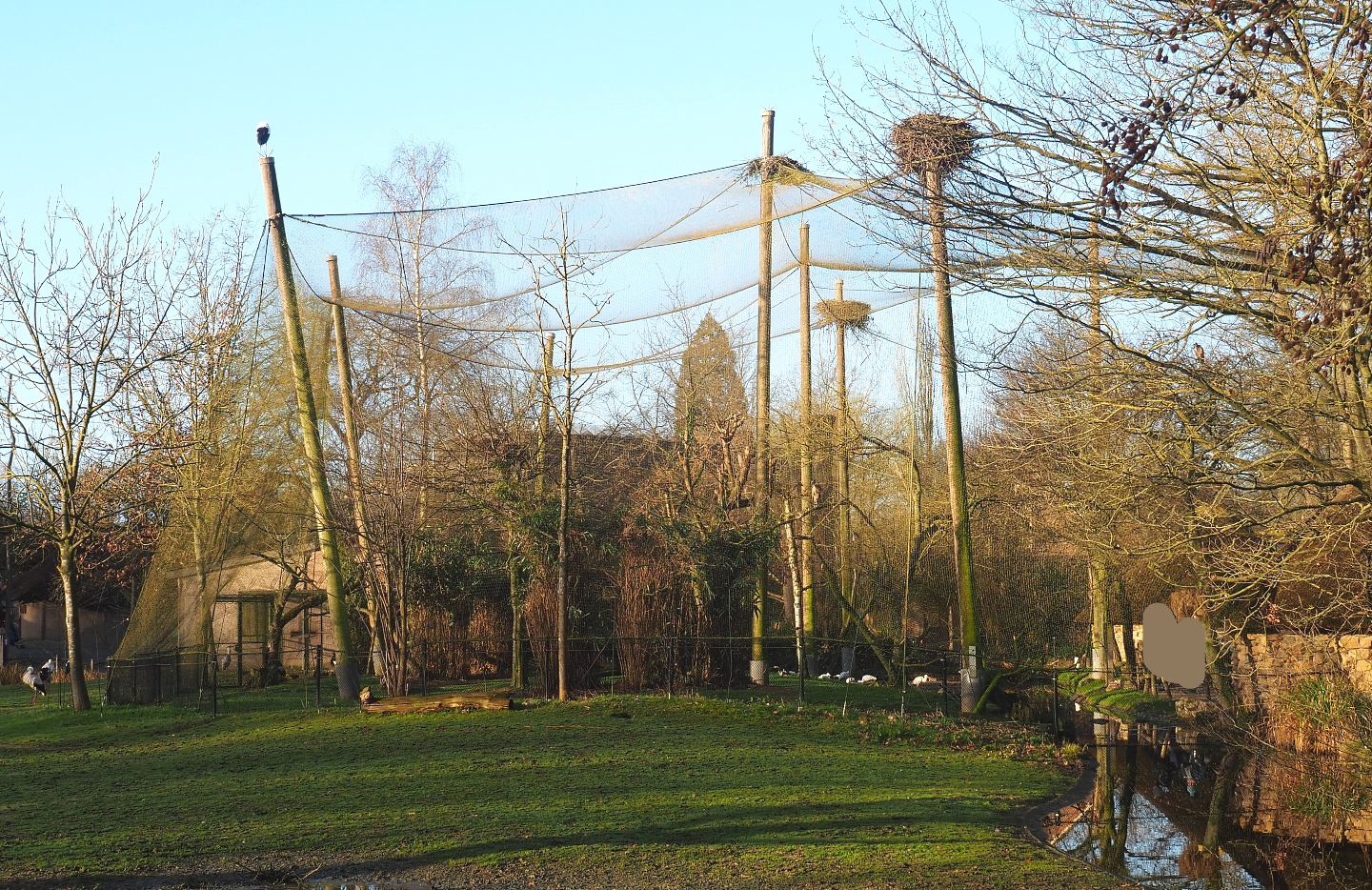 African waterfront aviary, 2022-01-30