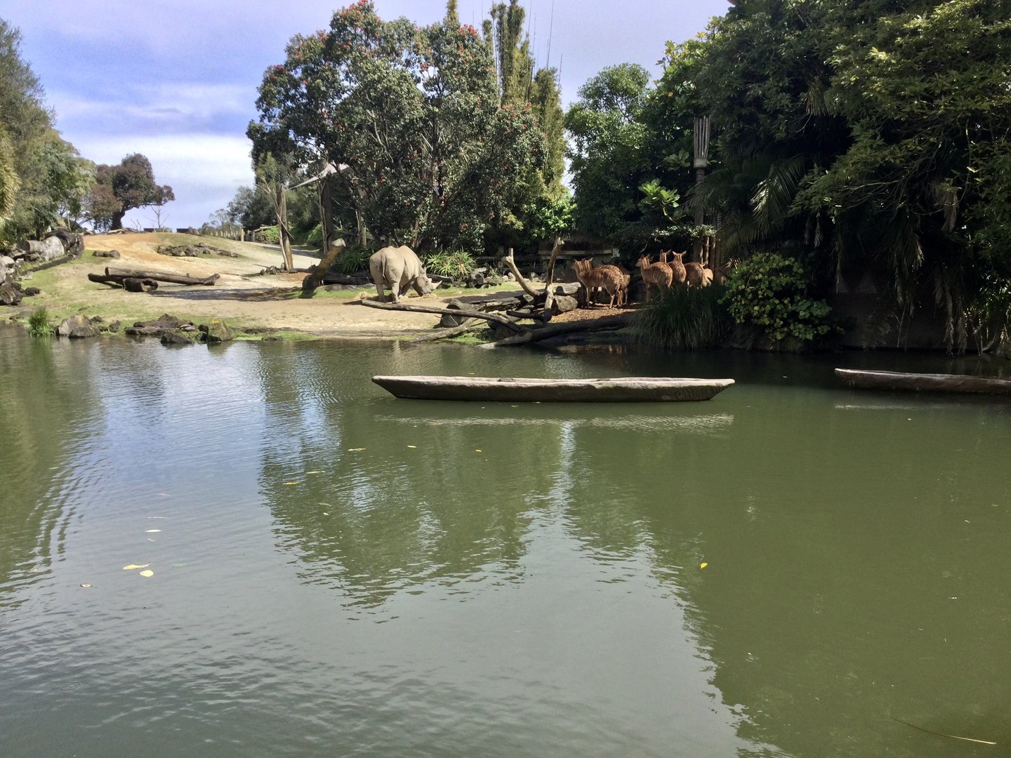 African Waterhole Exhibit