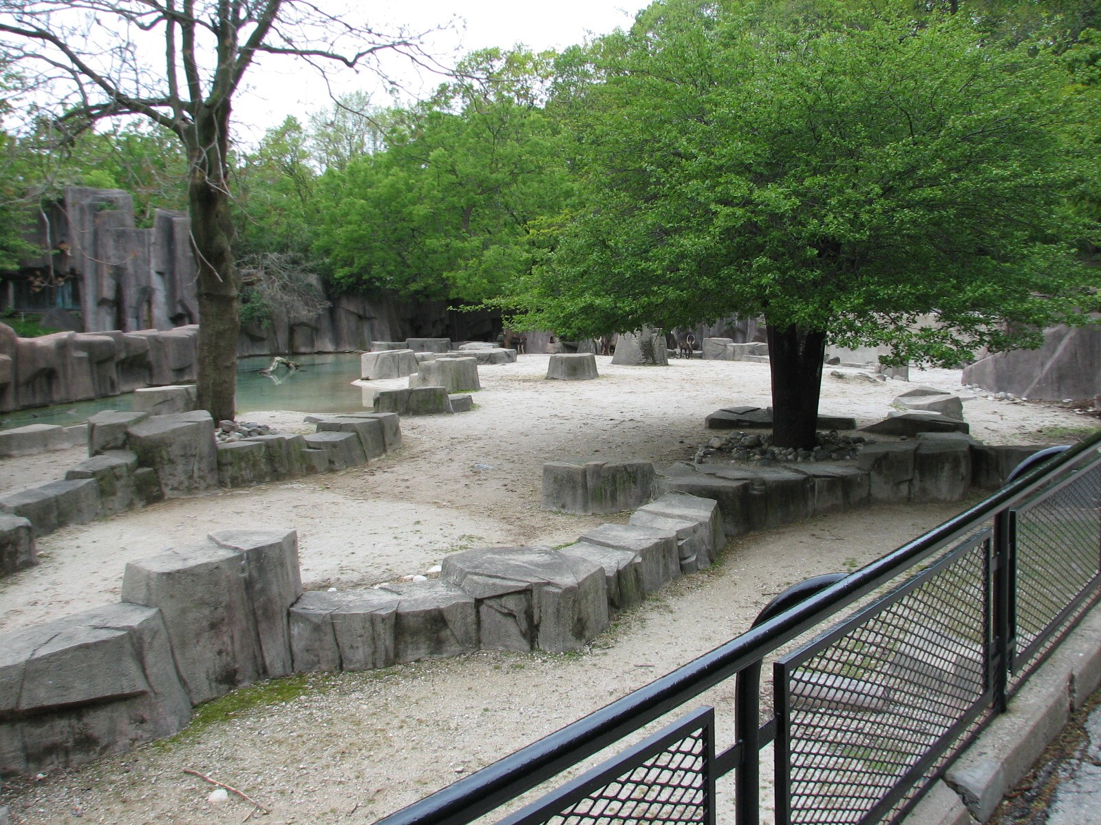 African Waterhole Exhibit