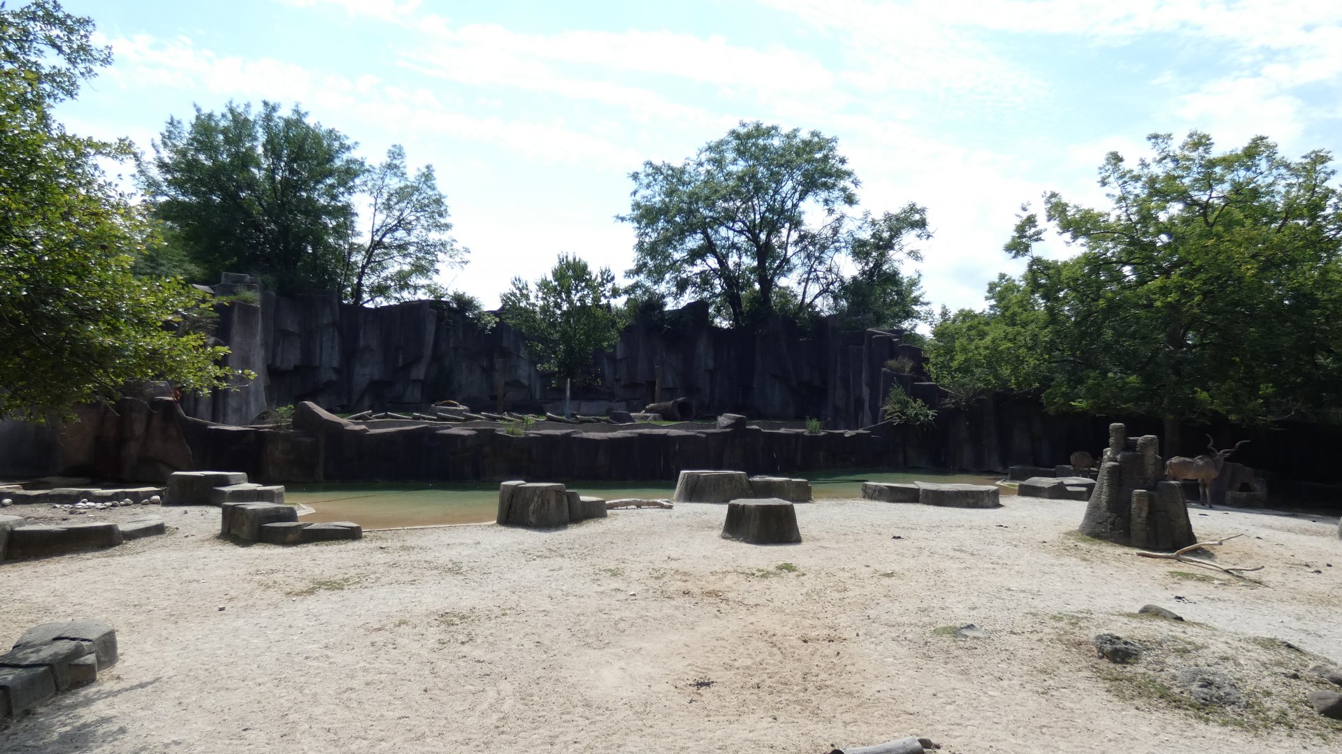 African Waterhole Yard/Outdoor Lion & Hyena Exhibit, Africa/Asia/South America - Aug. 2021