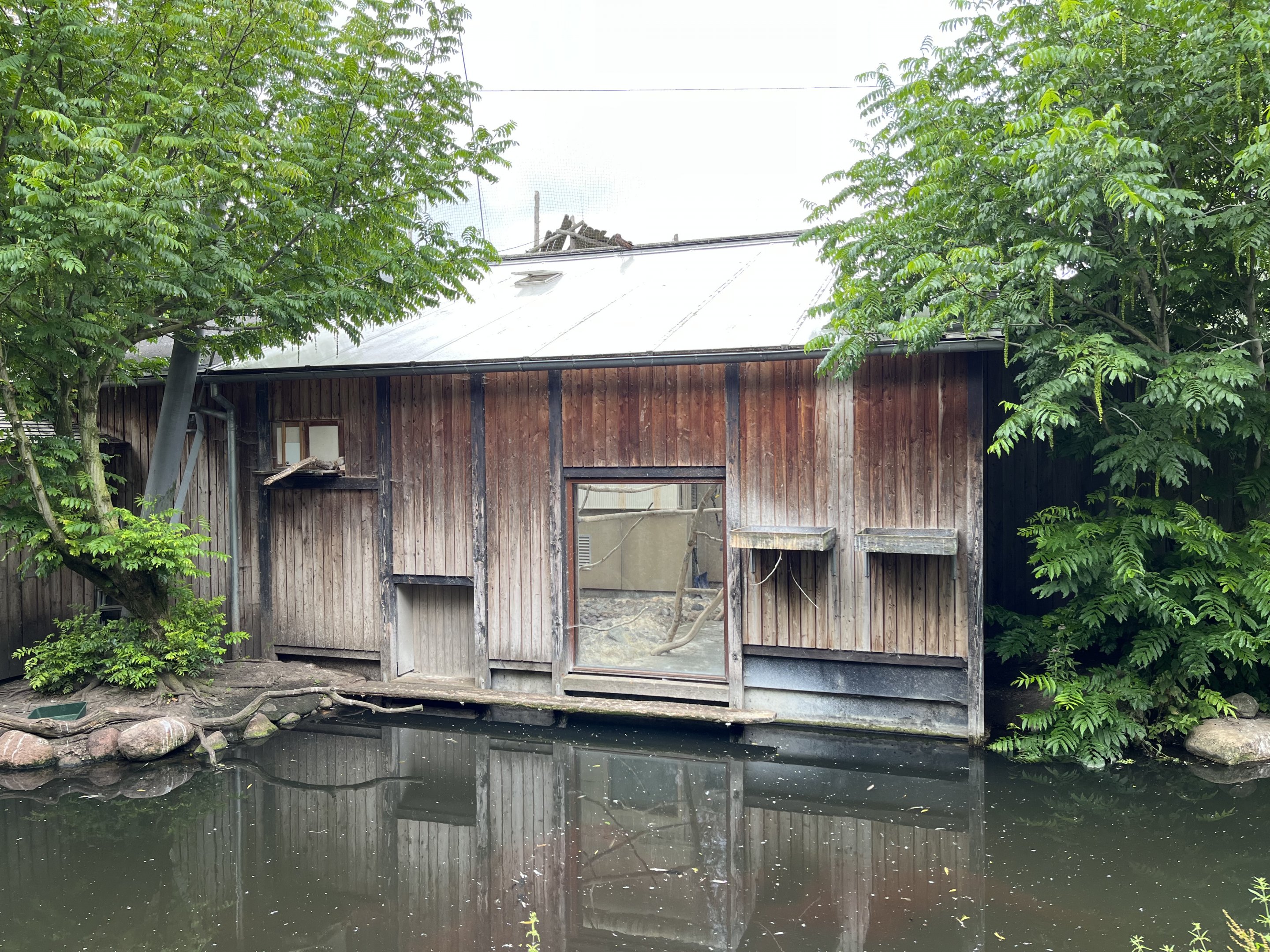 African Waters Aviary - pelican house