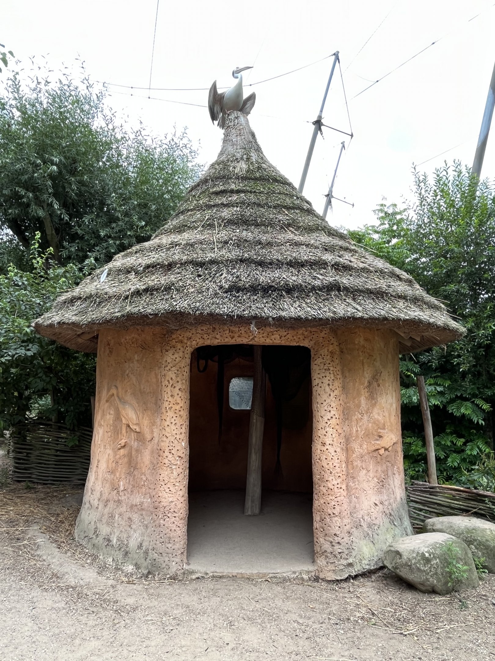 African Waters Aviary - perching pelican