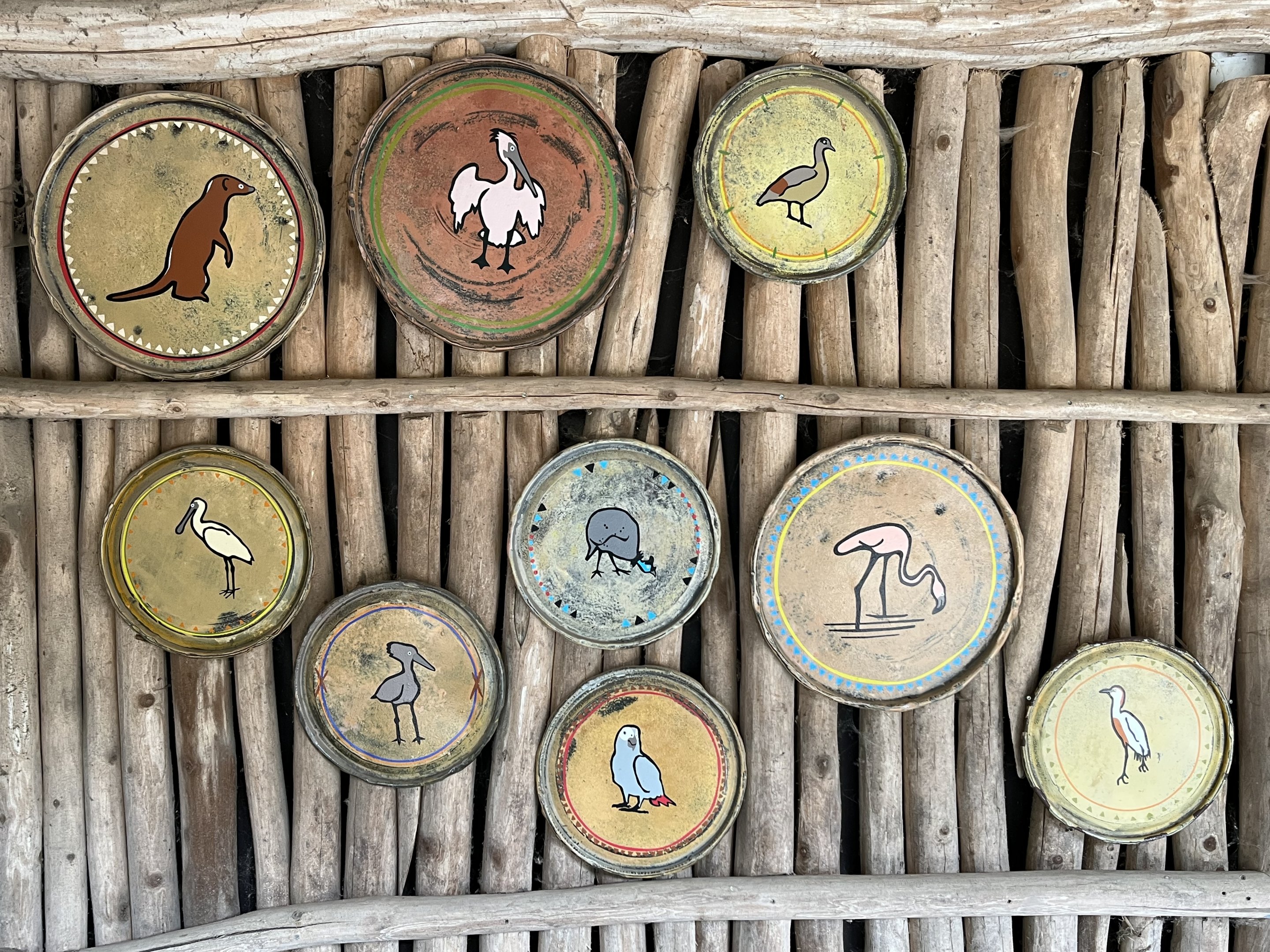 African Waters Aviary - species list