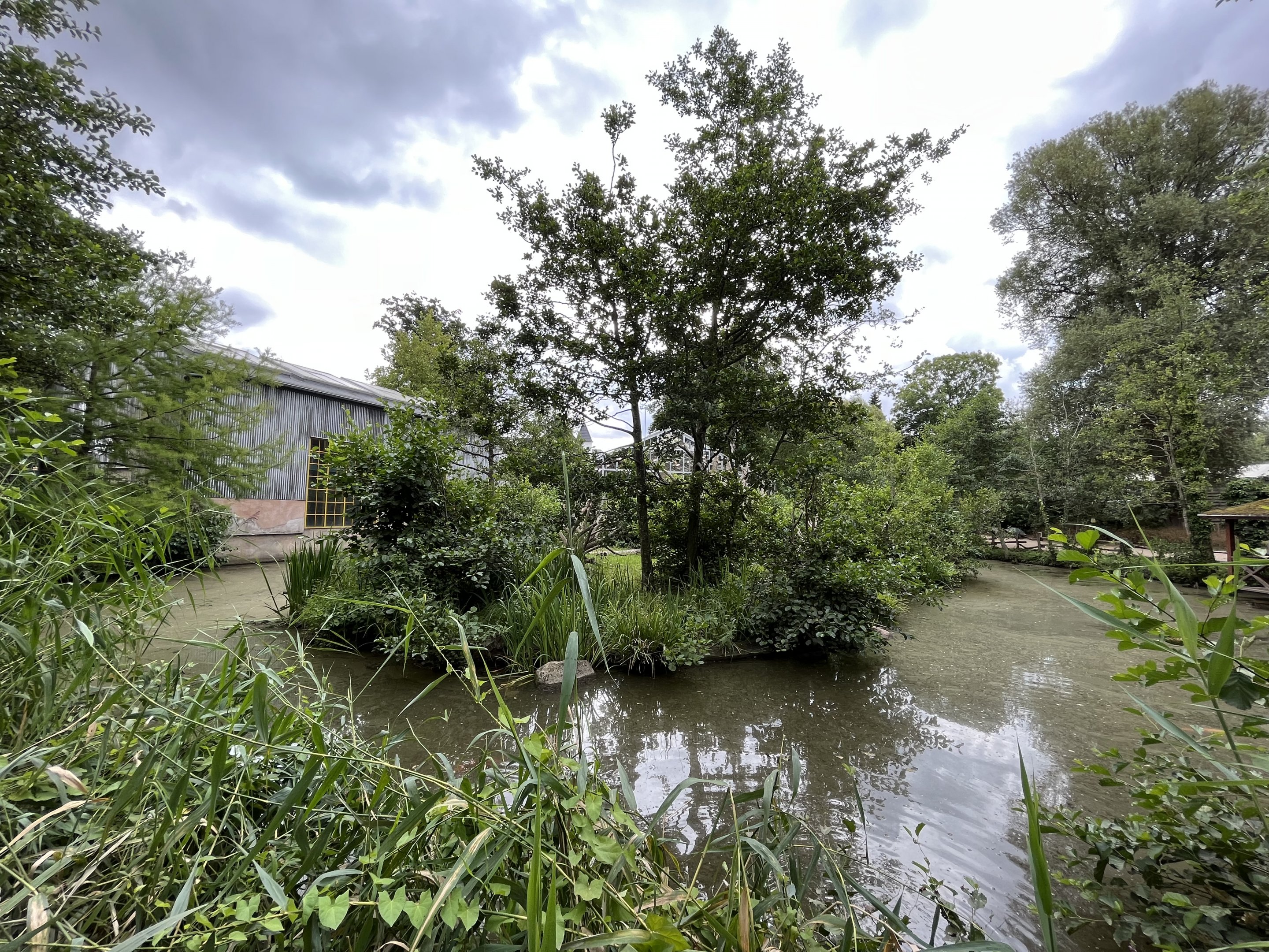 African Waters Aviary