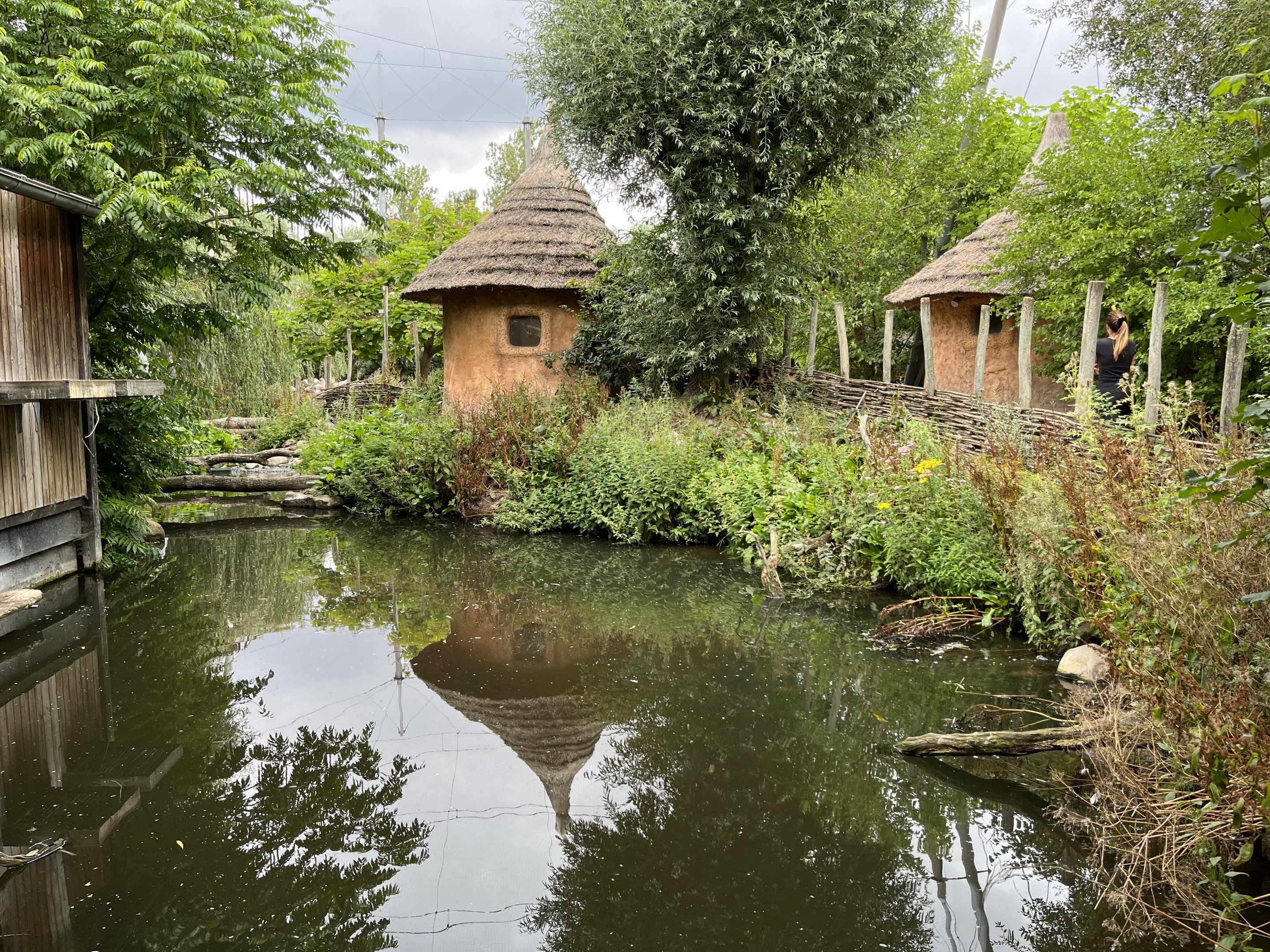 African Waters Aviary
