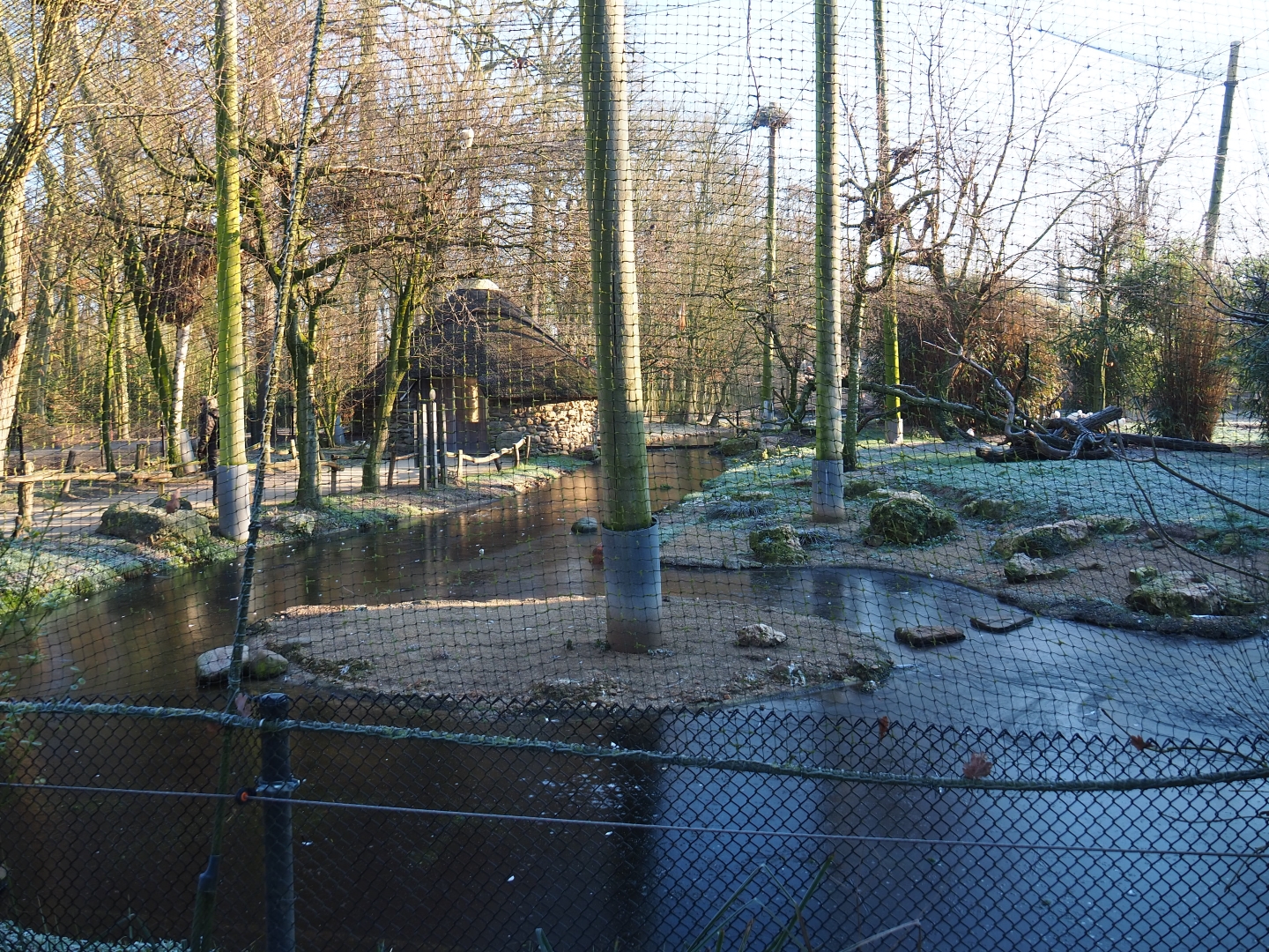African waterside aviary (Jan 20th, 2019)
