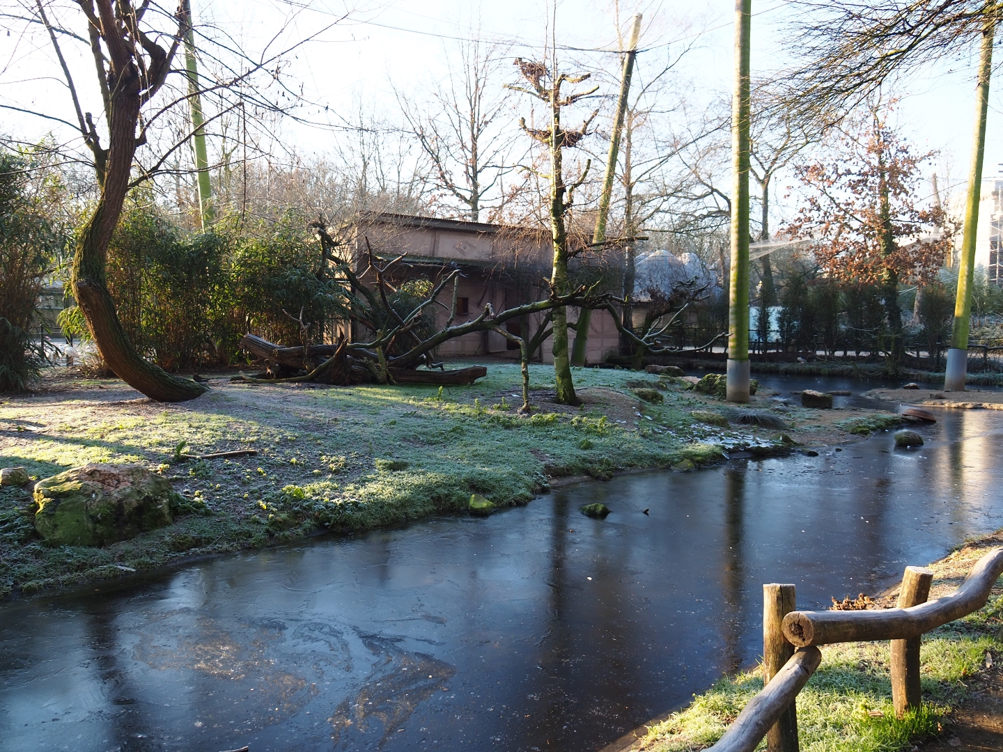 African waterside aviary (Jan 20th, 2019)