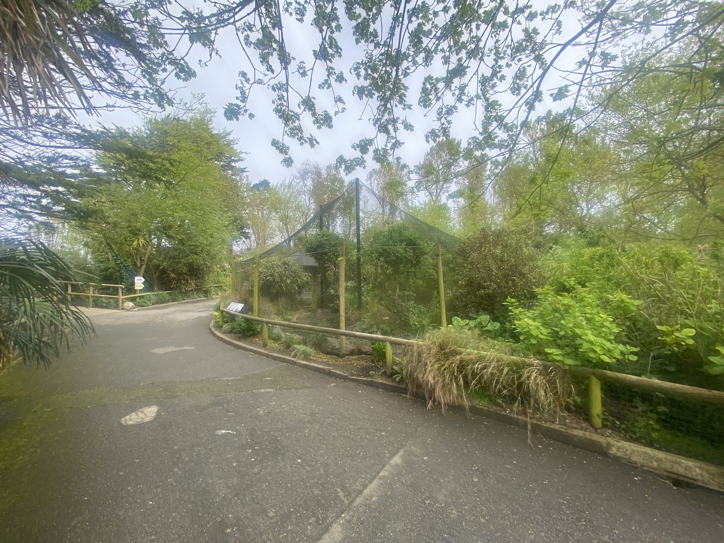 African Wetland Aviary 060523