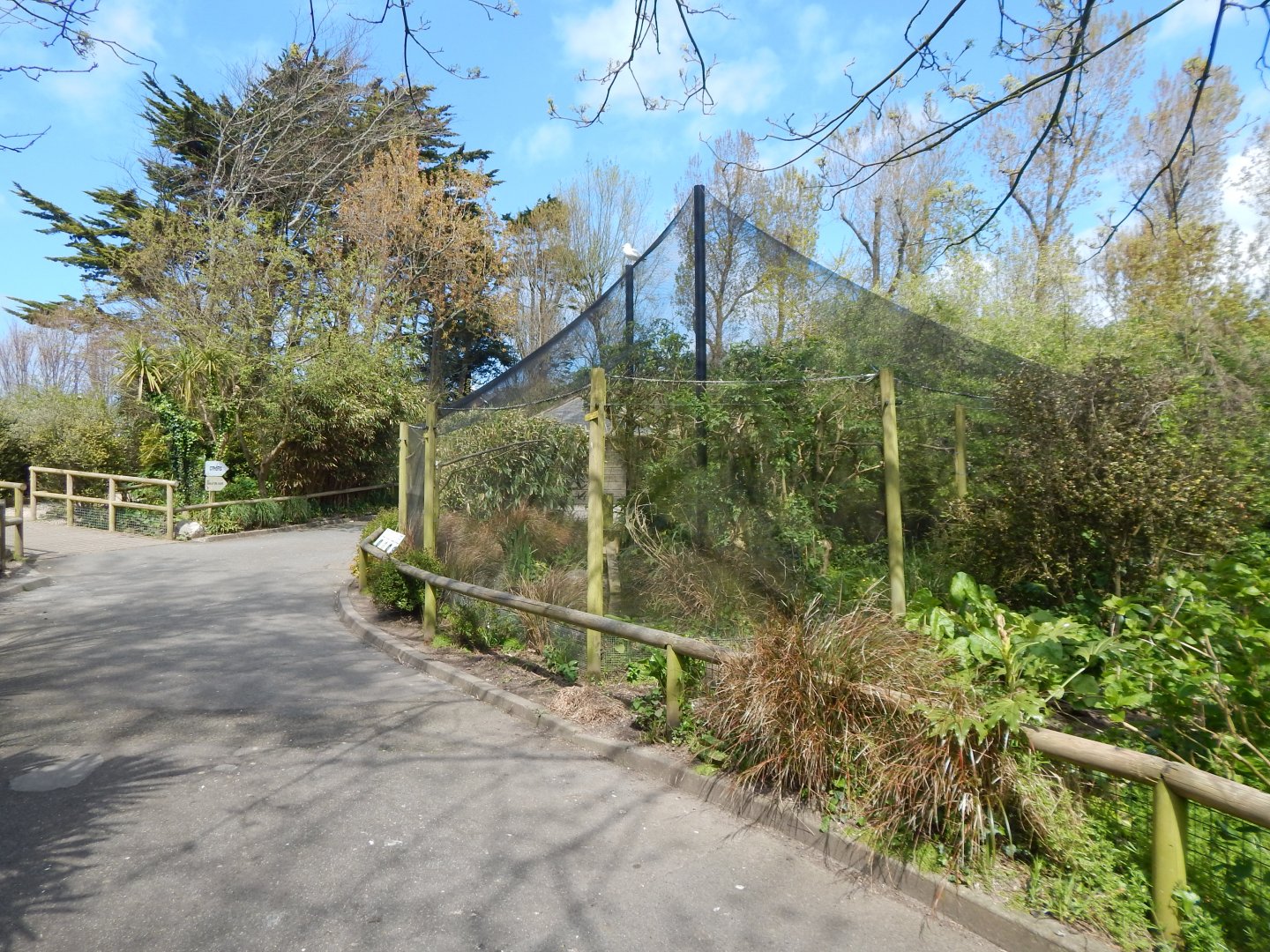 African Wetland Aviary 240424