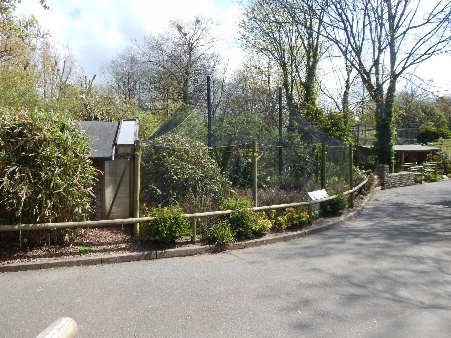 African Wetland Aviary 240424