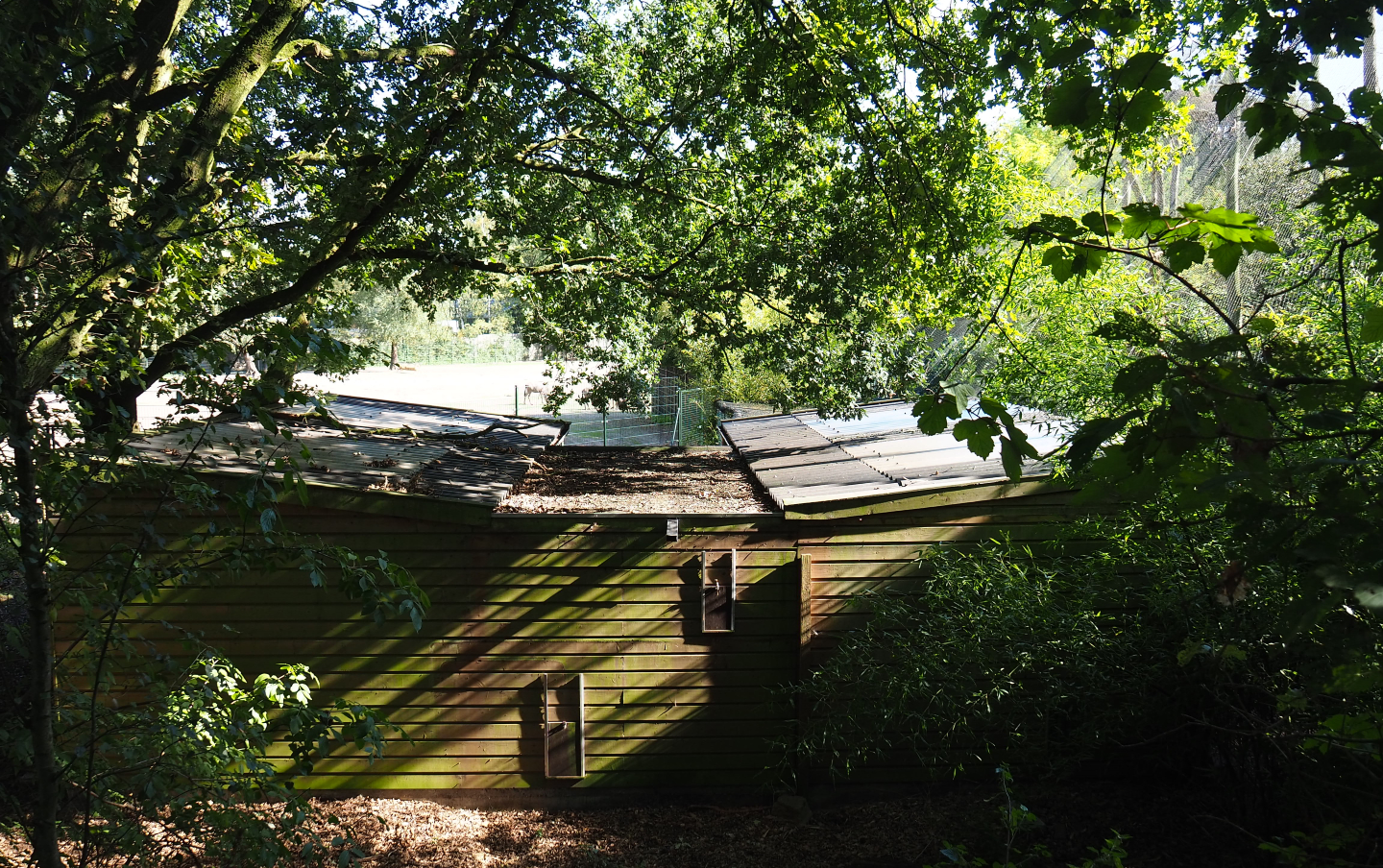 African wetland aviary bird house, 2019-09-15