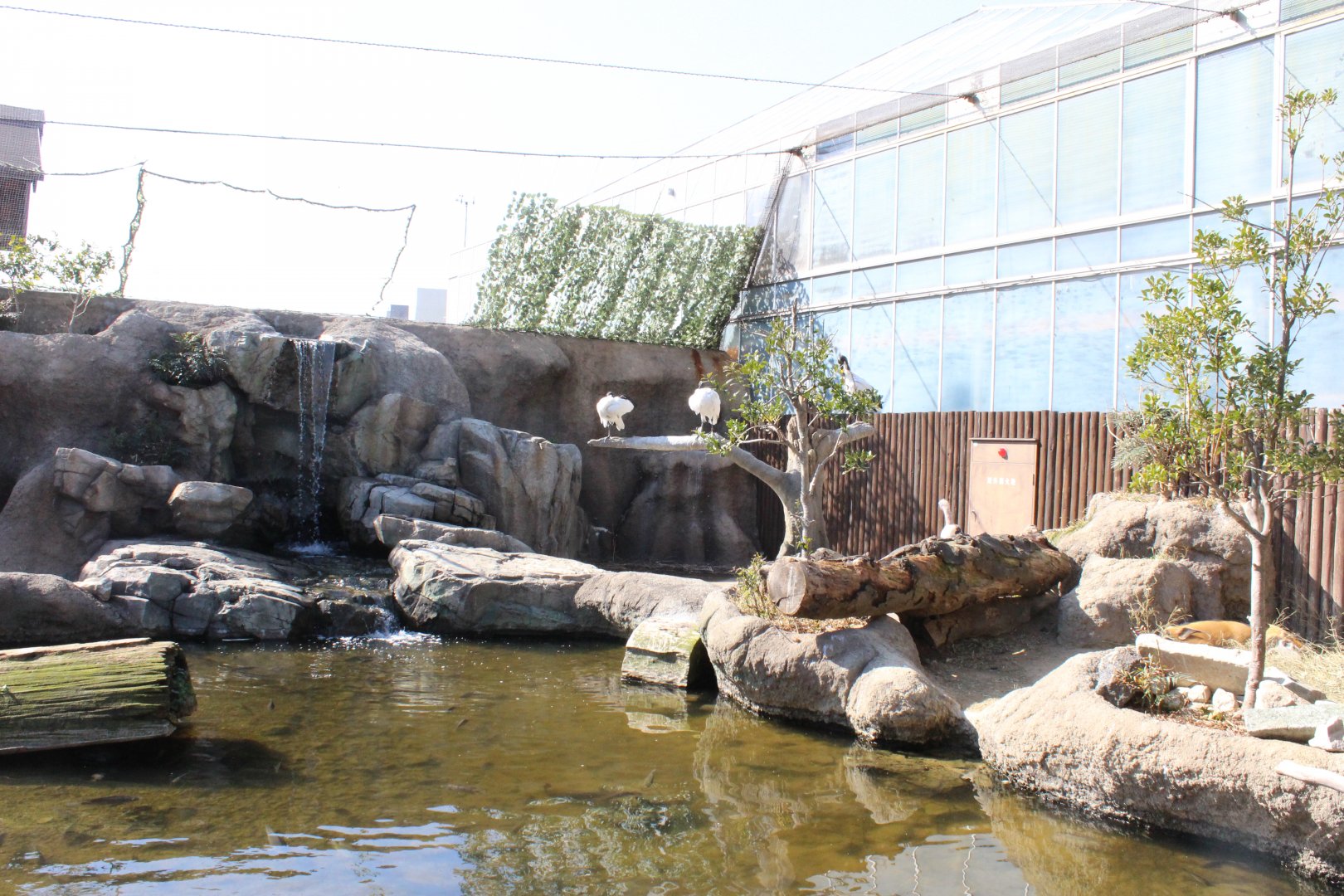 African wetland exhibit