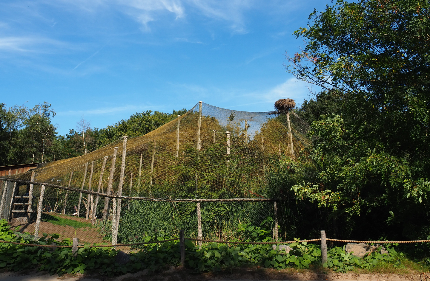 African wetland walk-into aviary, 2019-09-15
