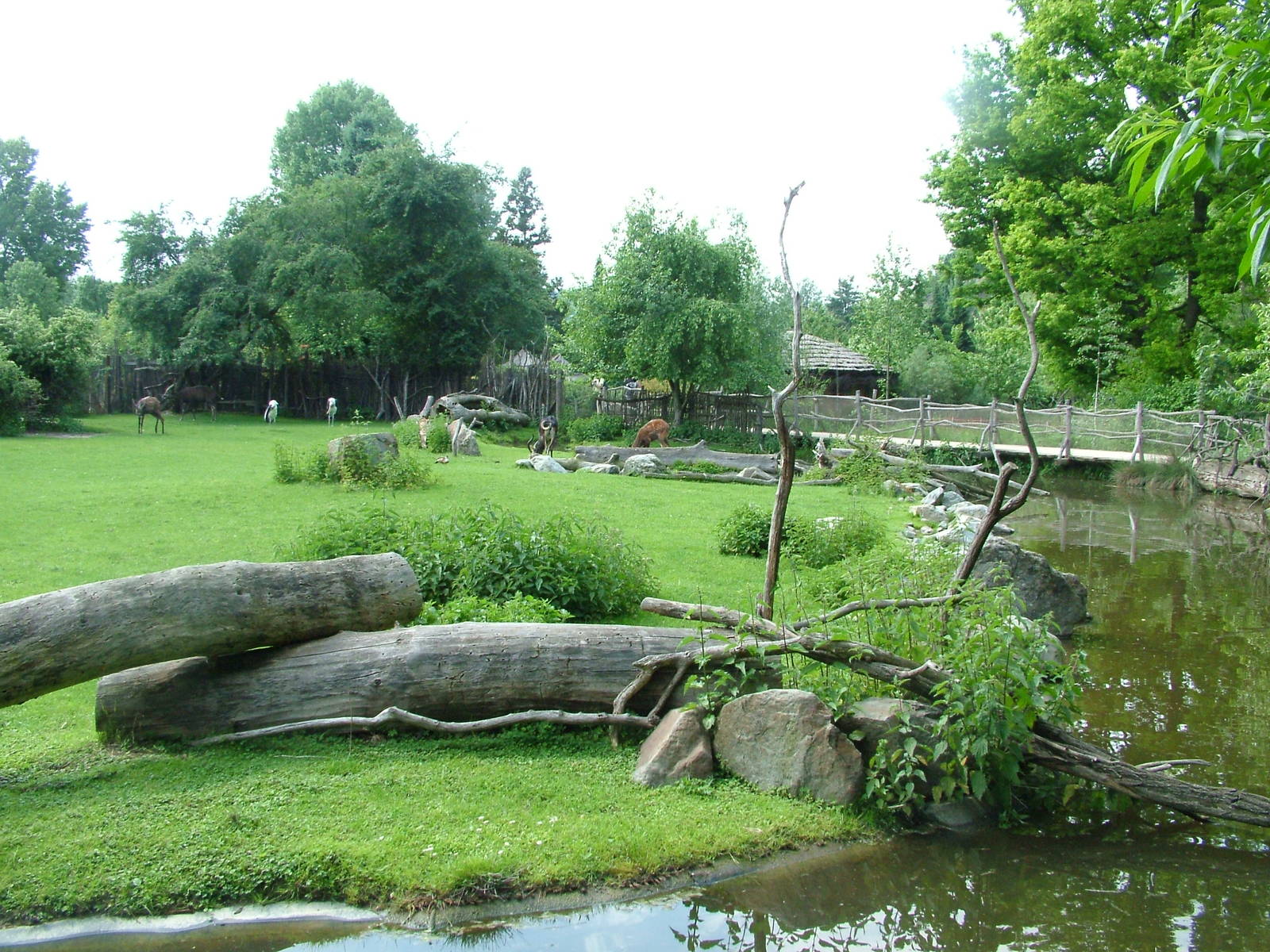 African Wetlands area at Prague, 24/05/10