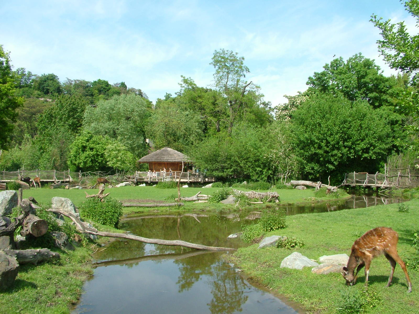 African Wetlands area at Prague, 24/05/10