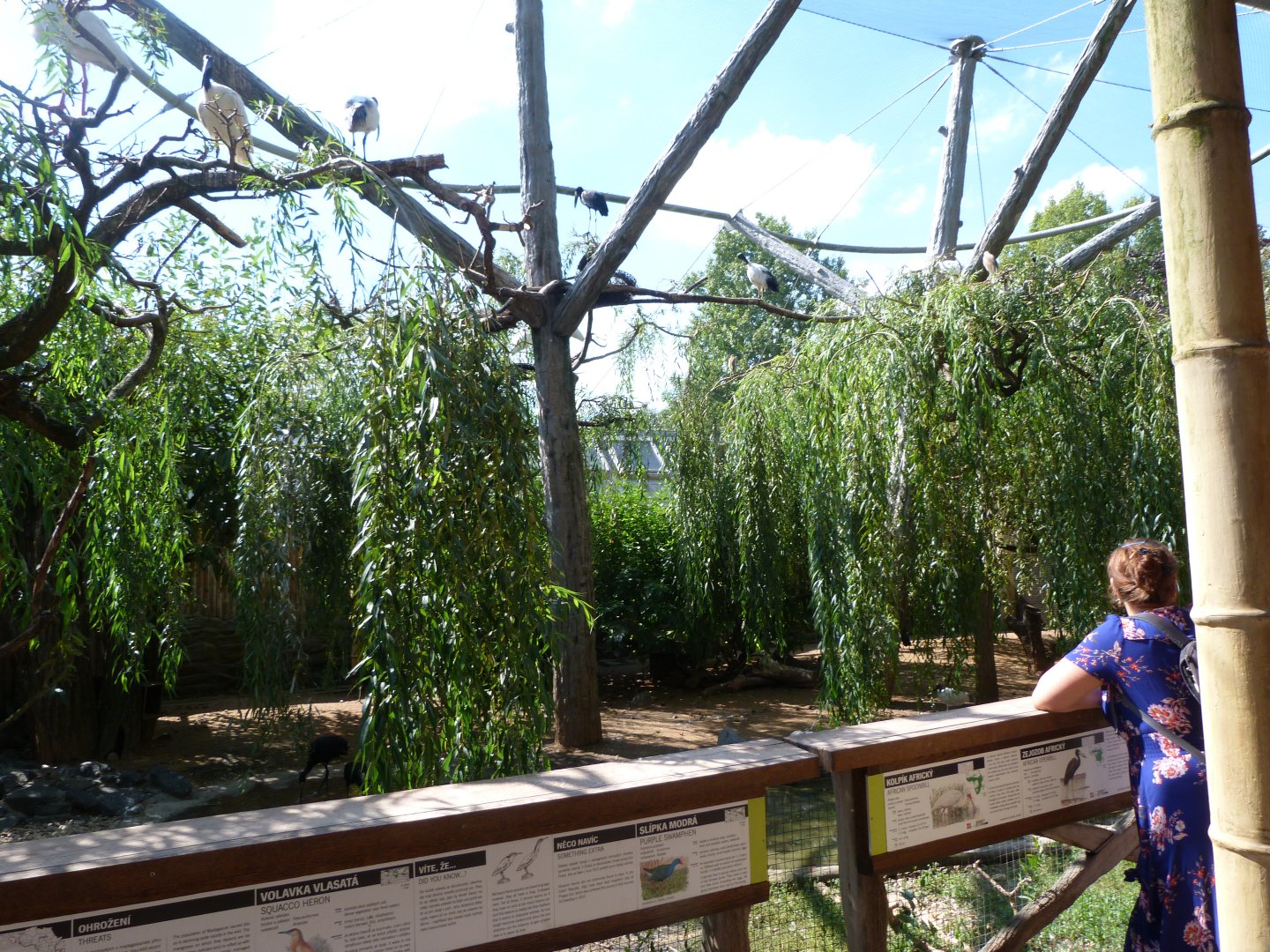 African wetlands aviary -Zoo Praha (2025)