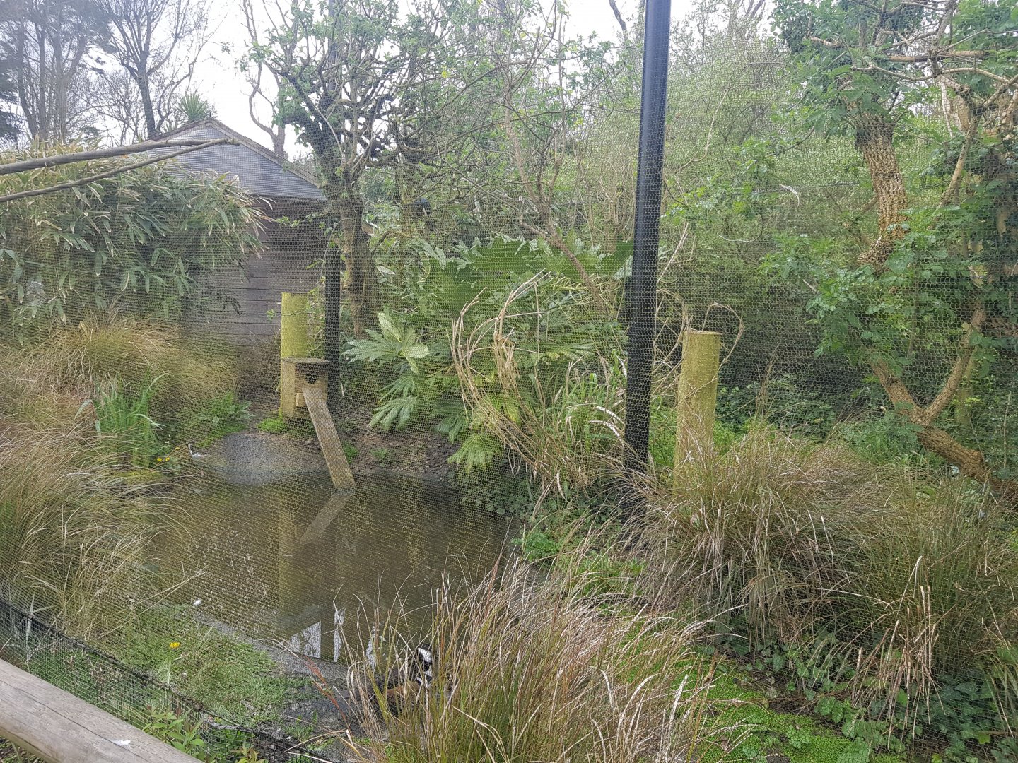 'African' Wetlands Aviary
