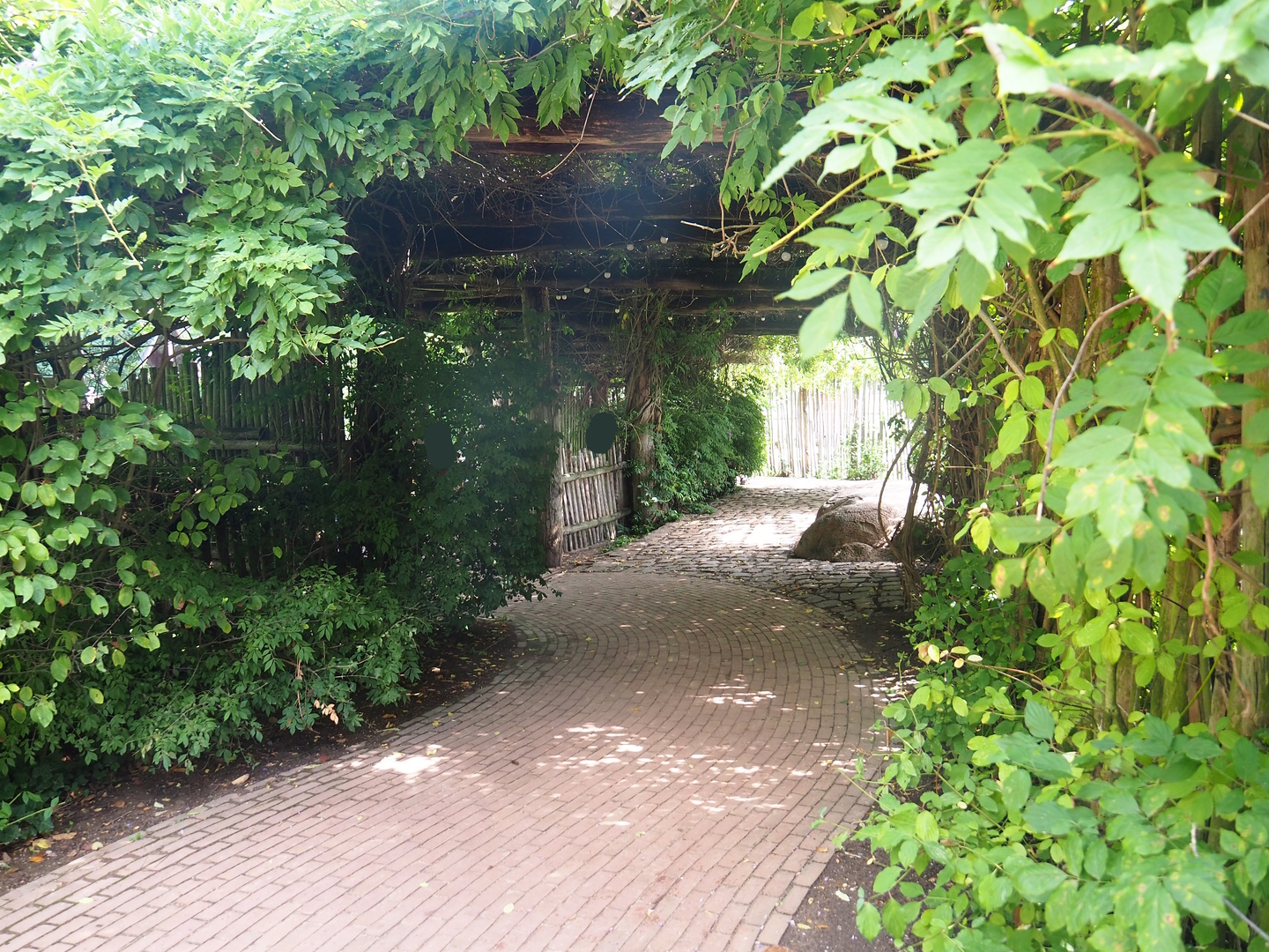 African wild dog and savanna paddock viewing area, 2022-08-20