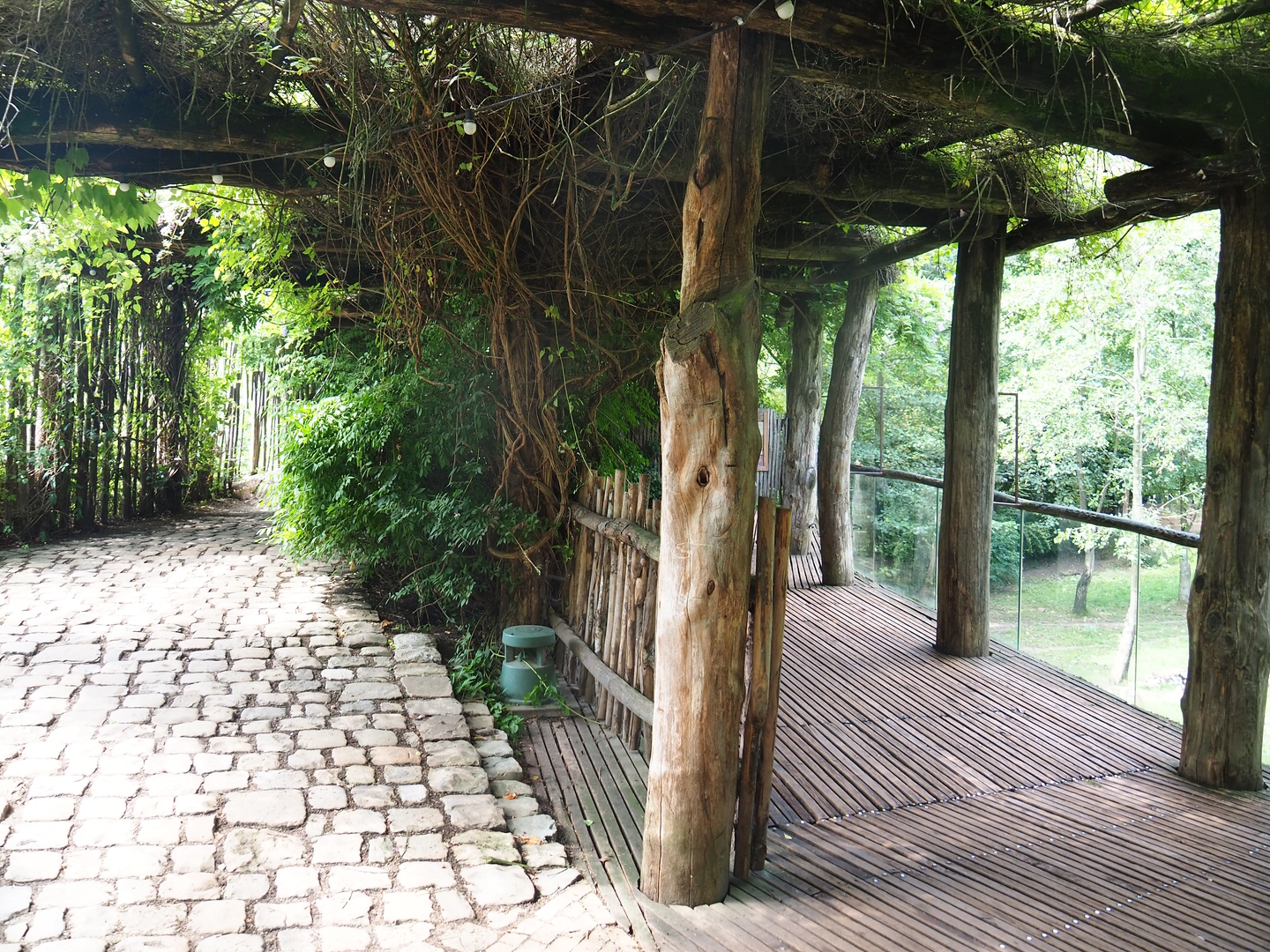 African wild dog and savanna paddock viewing area, 2022-08-20