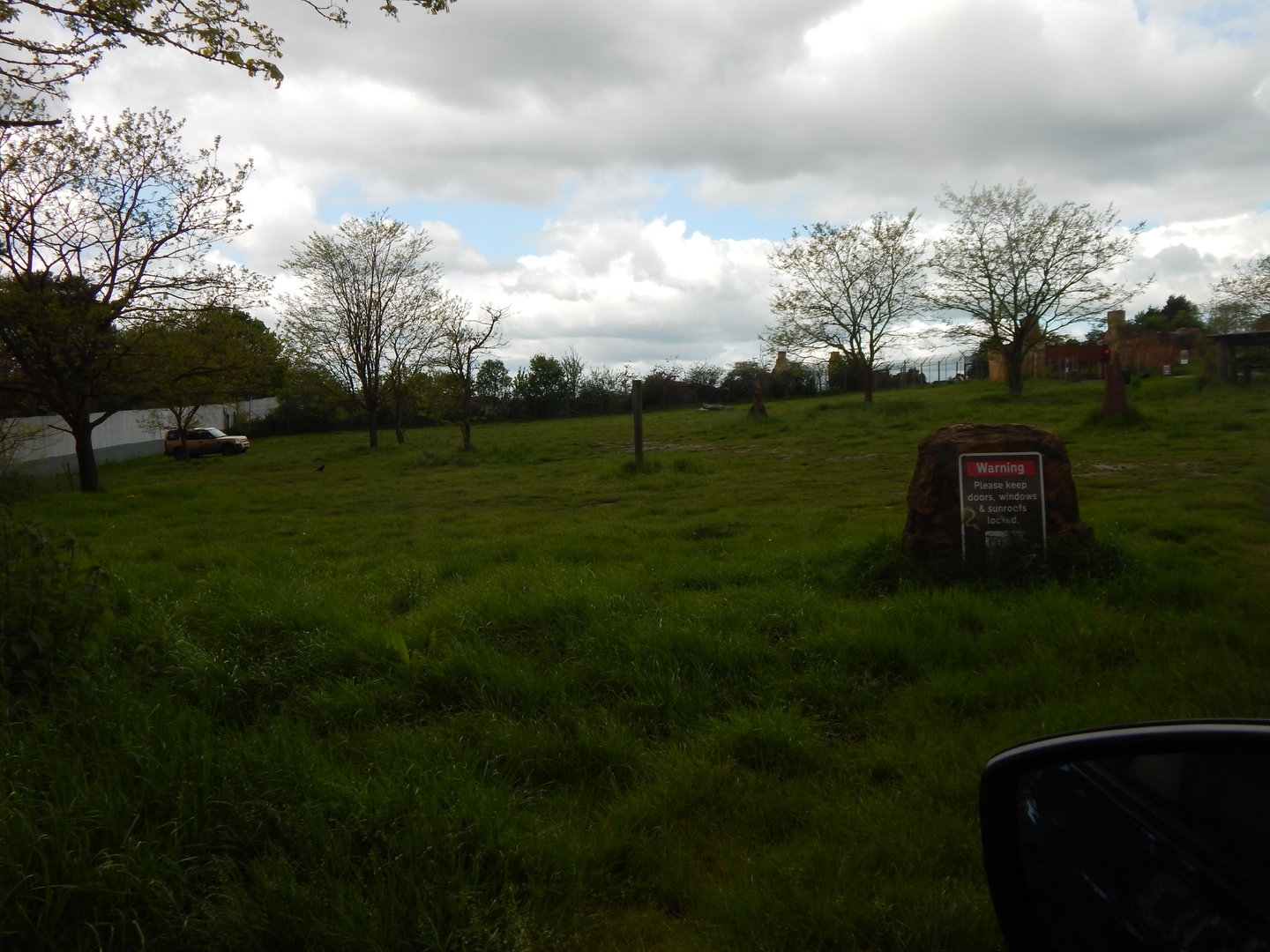 African wild dog area 150523