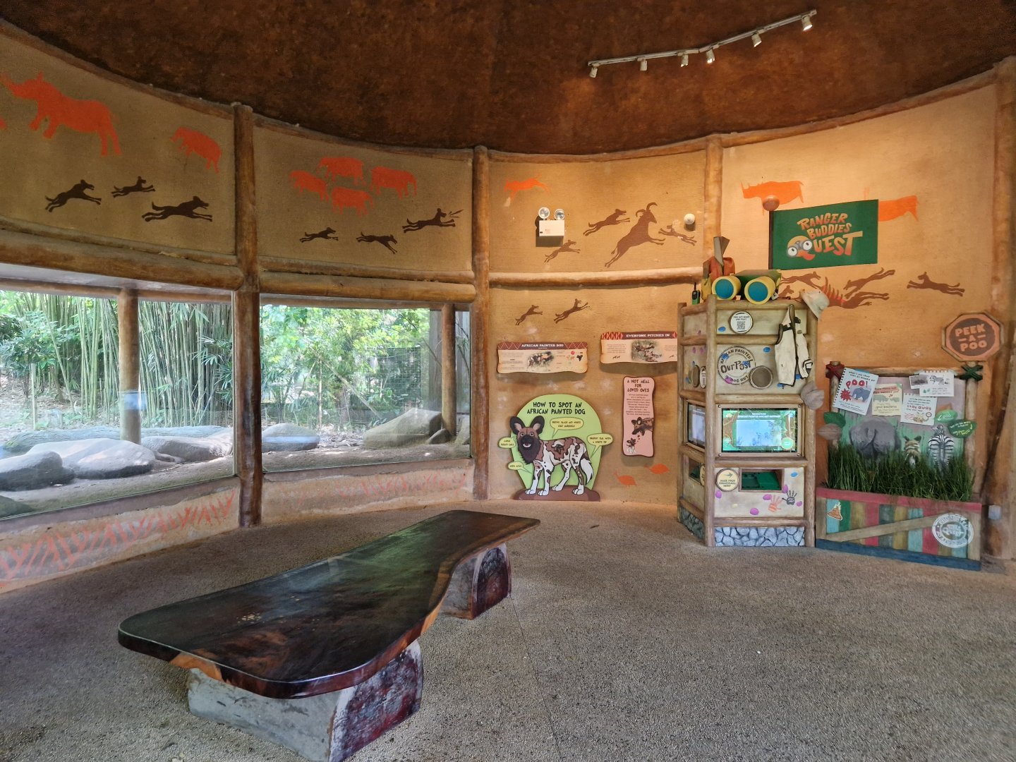 African Wild Dog educational display