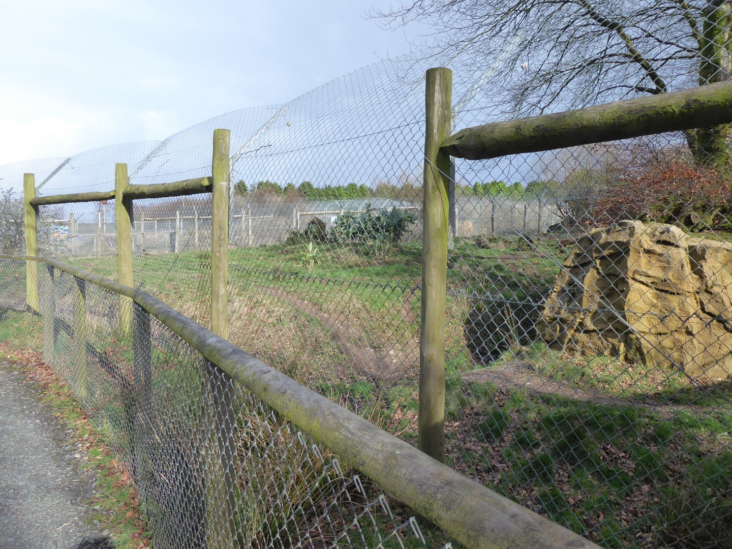 African wild dog enclosure 040319