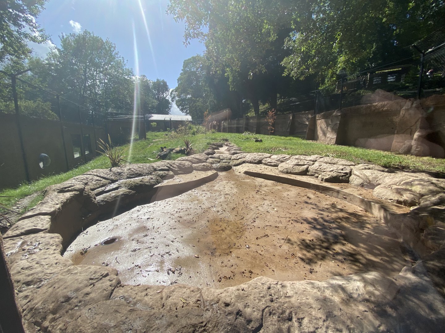 African wild dog enclosure 1