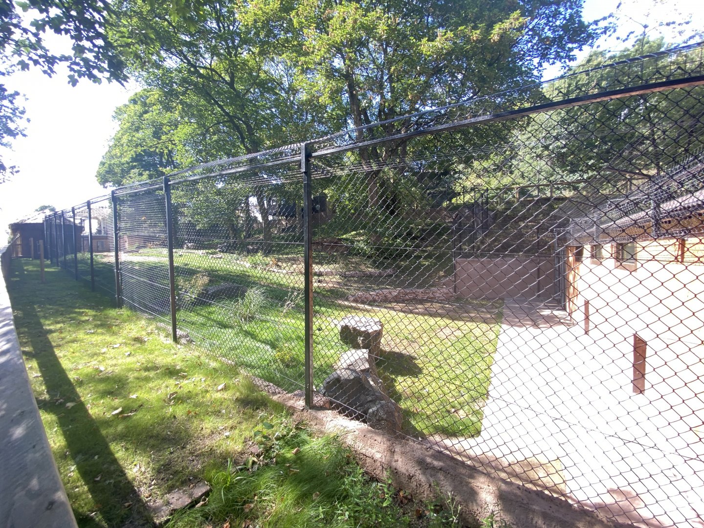 African wild dog enclosure 2