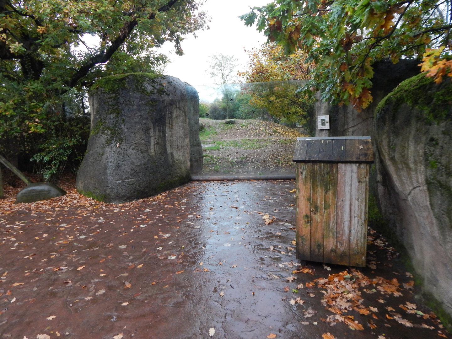 African wild dog enclosure 221022