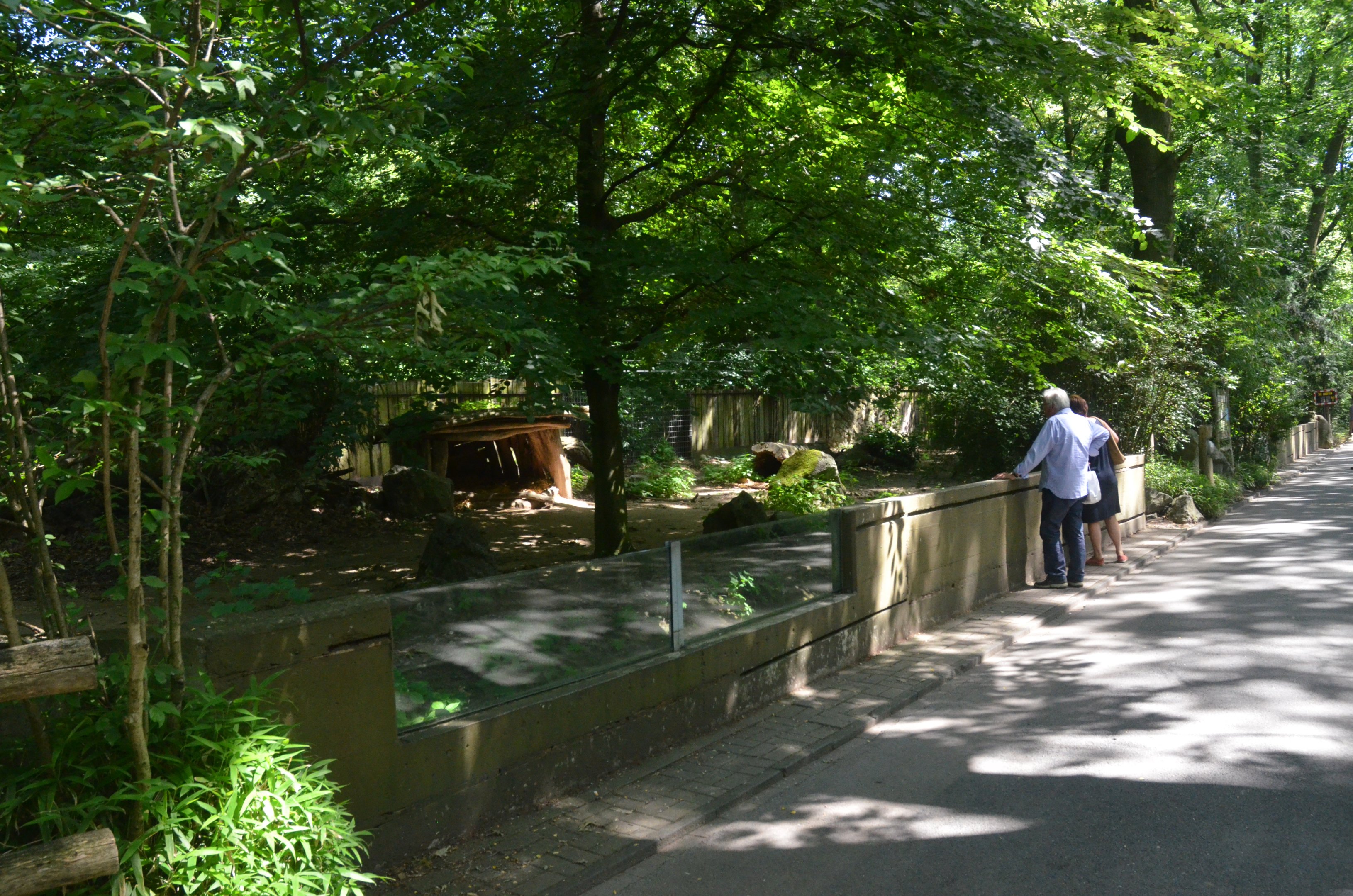 African Wild Dog Enclosure at Duisburg, 17/06/19