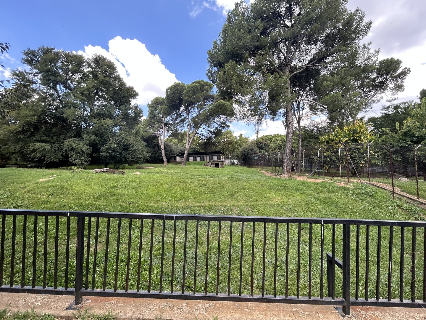 African Wild Dog Enclosure (Lycaon pictus)