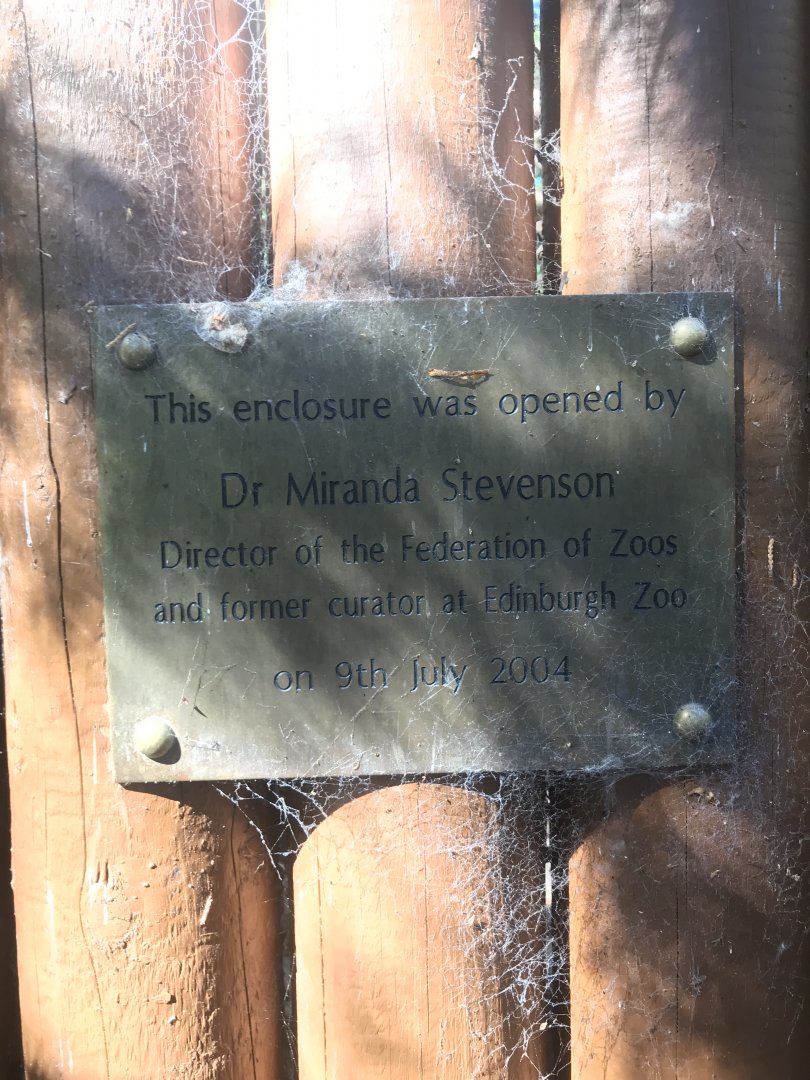 African wild dog enclosure opening date