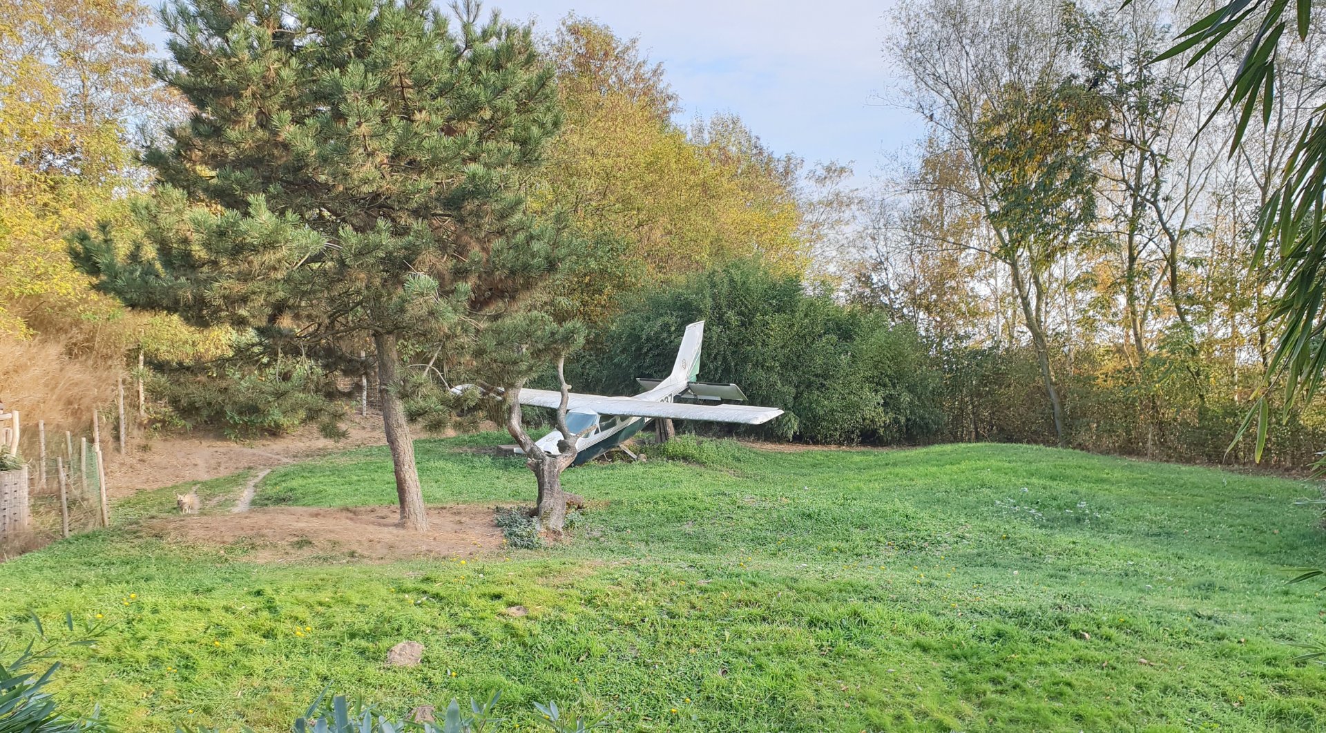 African wild dog enclosure - with crashed airplain