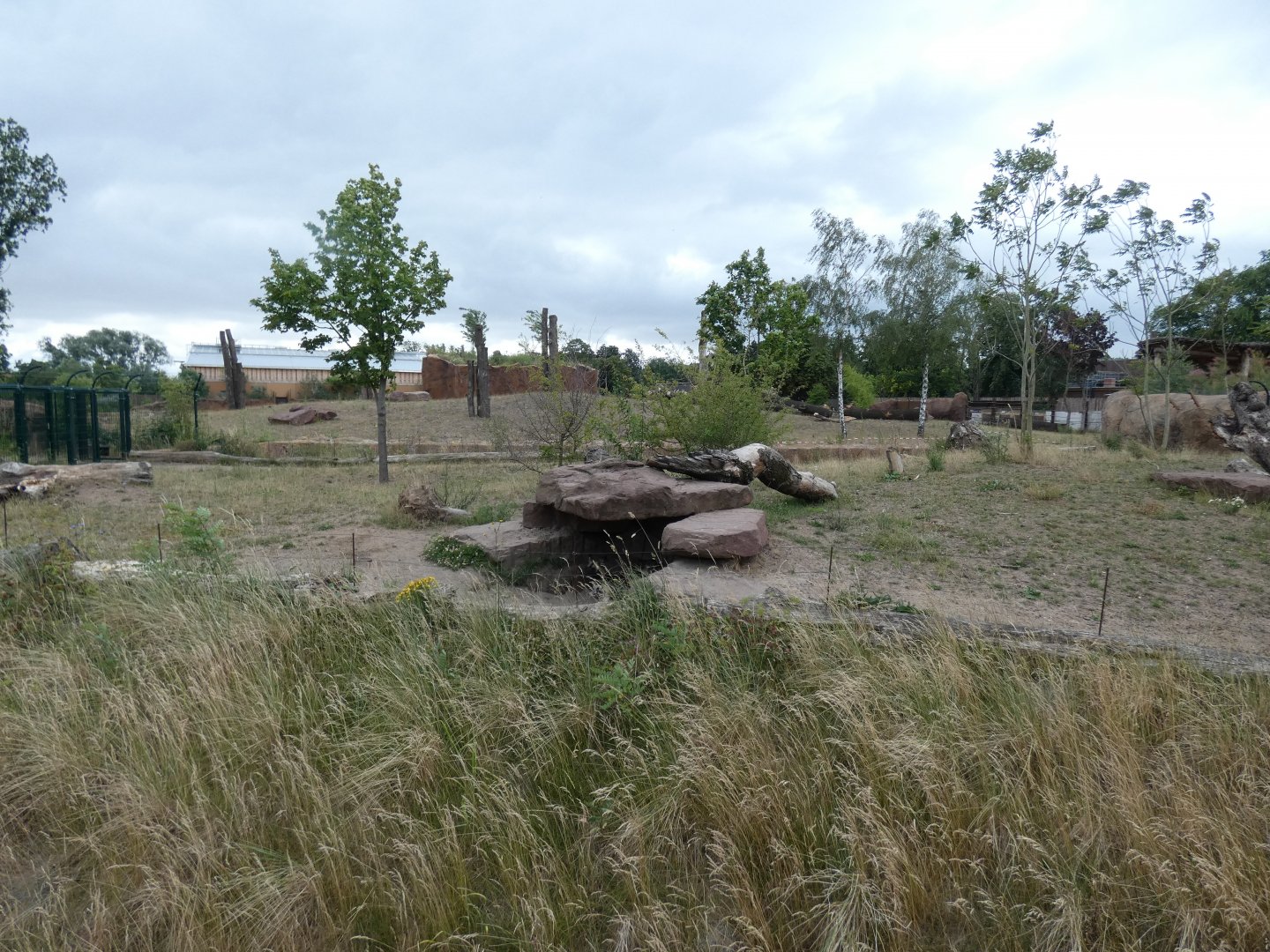 African Wild Dog Enclosure