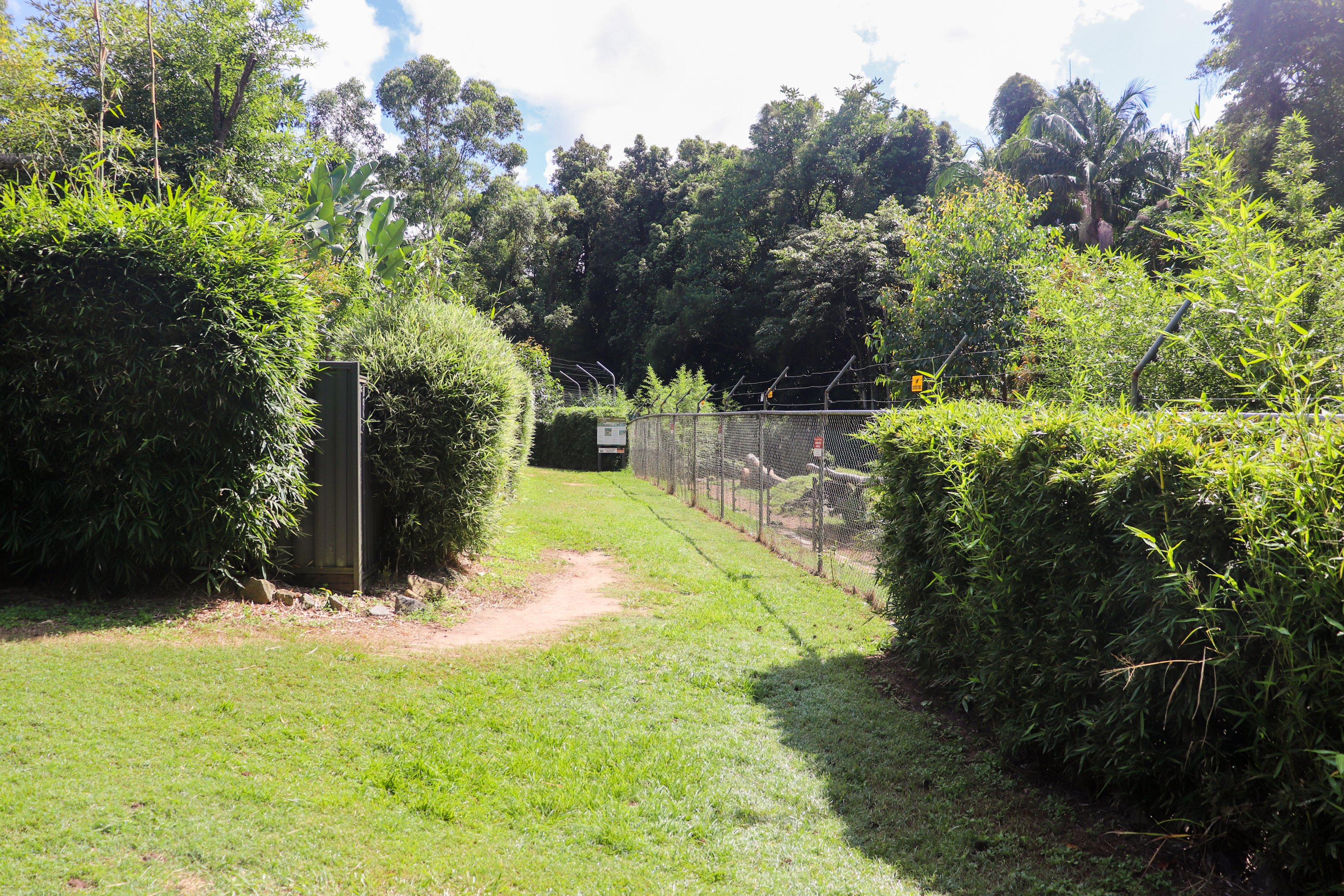 African Wild Dog Enclosure